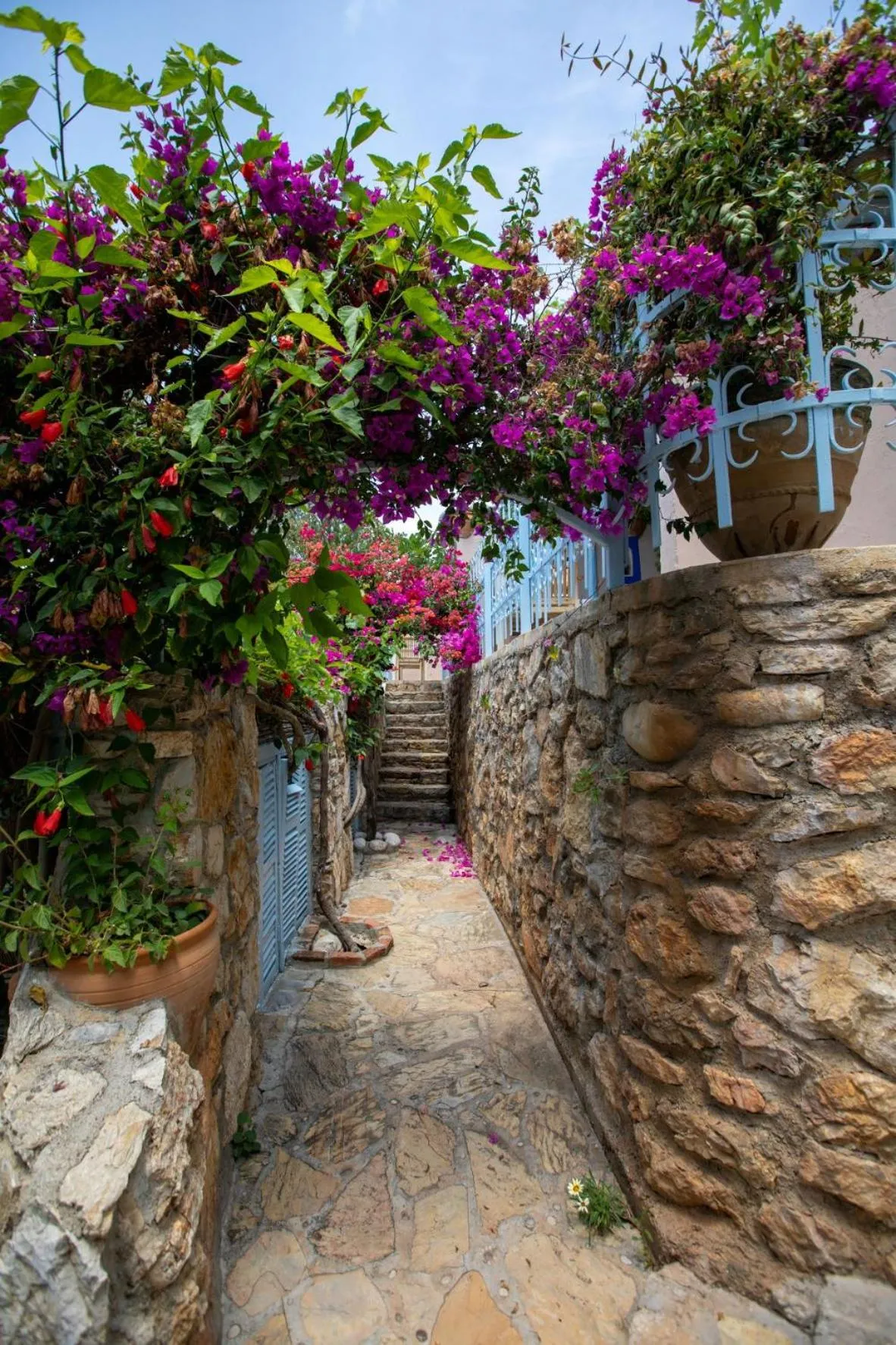 Garden in Beyaz Yunus Hotel - Adult Only