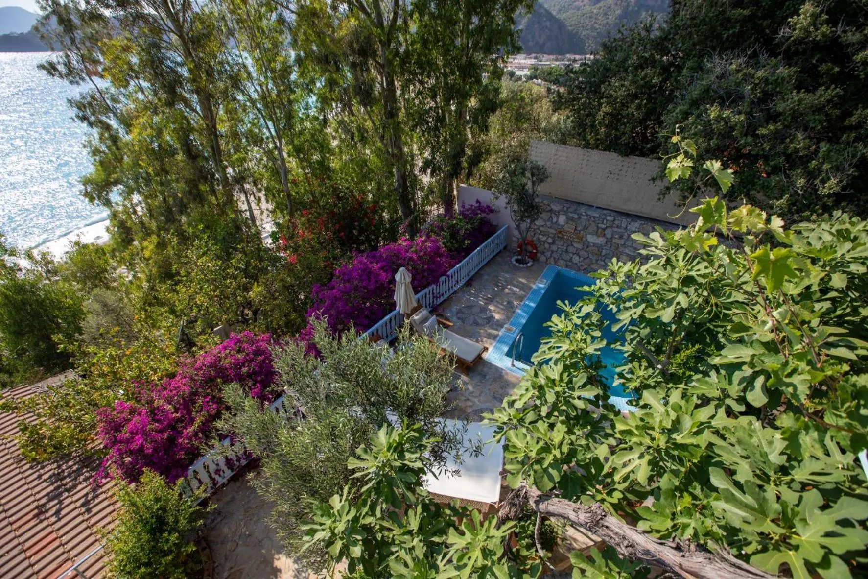 Garden in Beyaz Yunus Hotel - Adult Only