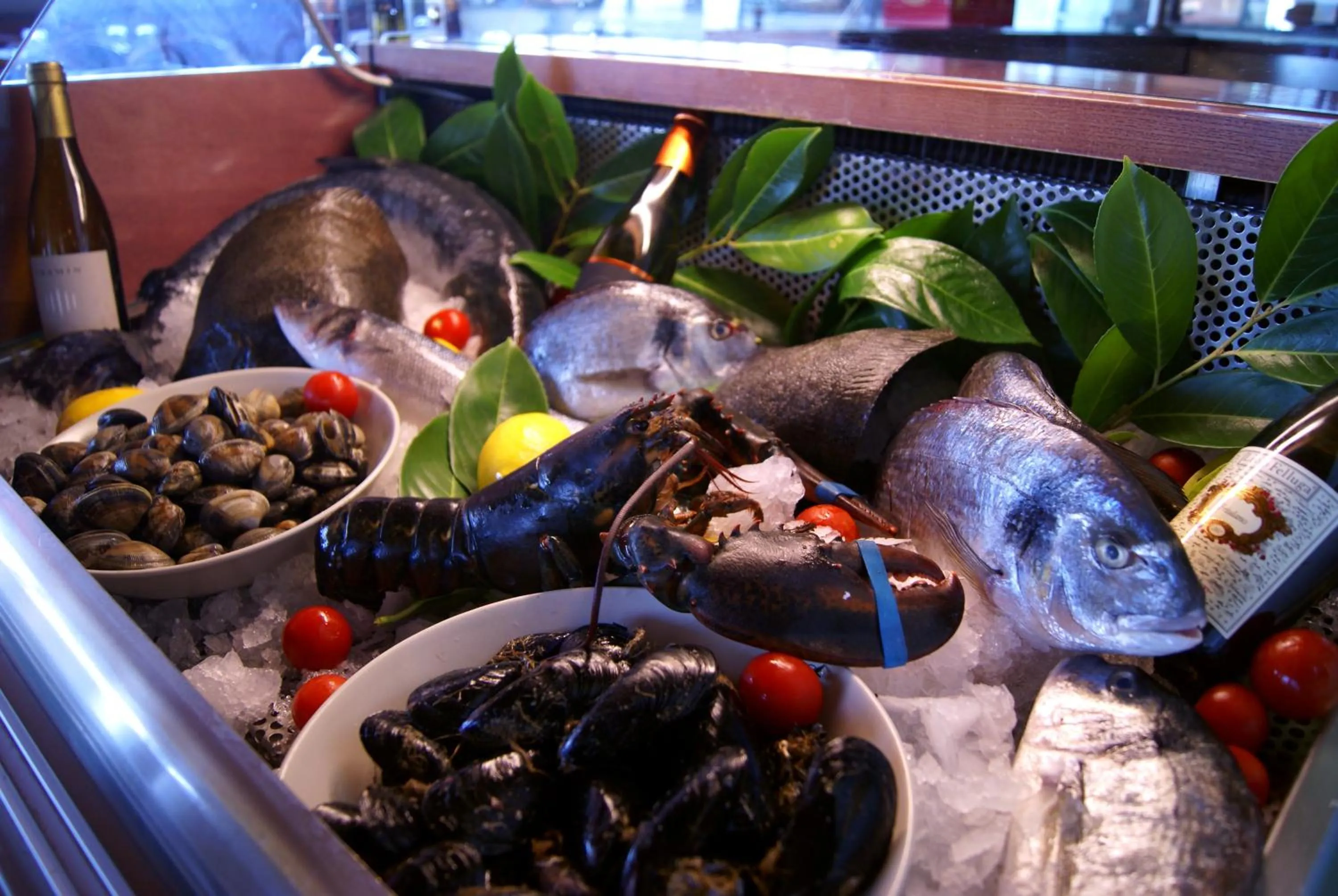 Restaurant/places to eat in Hotel Castello