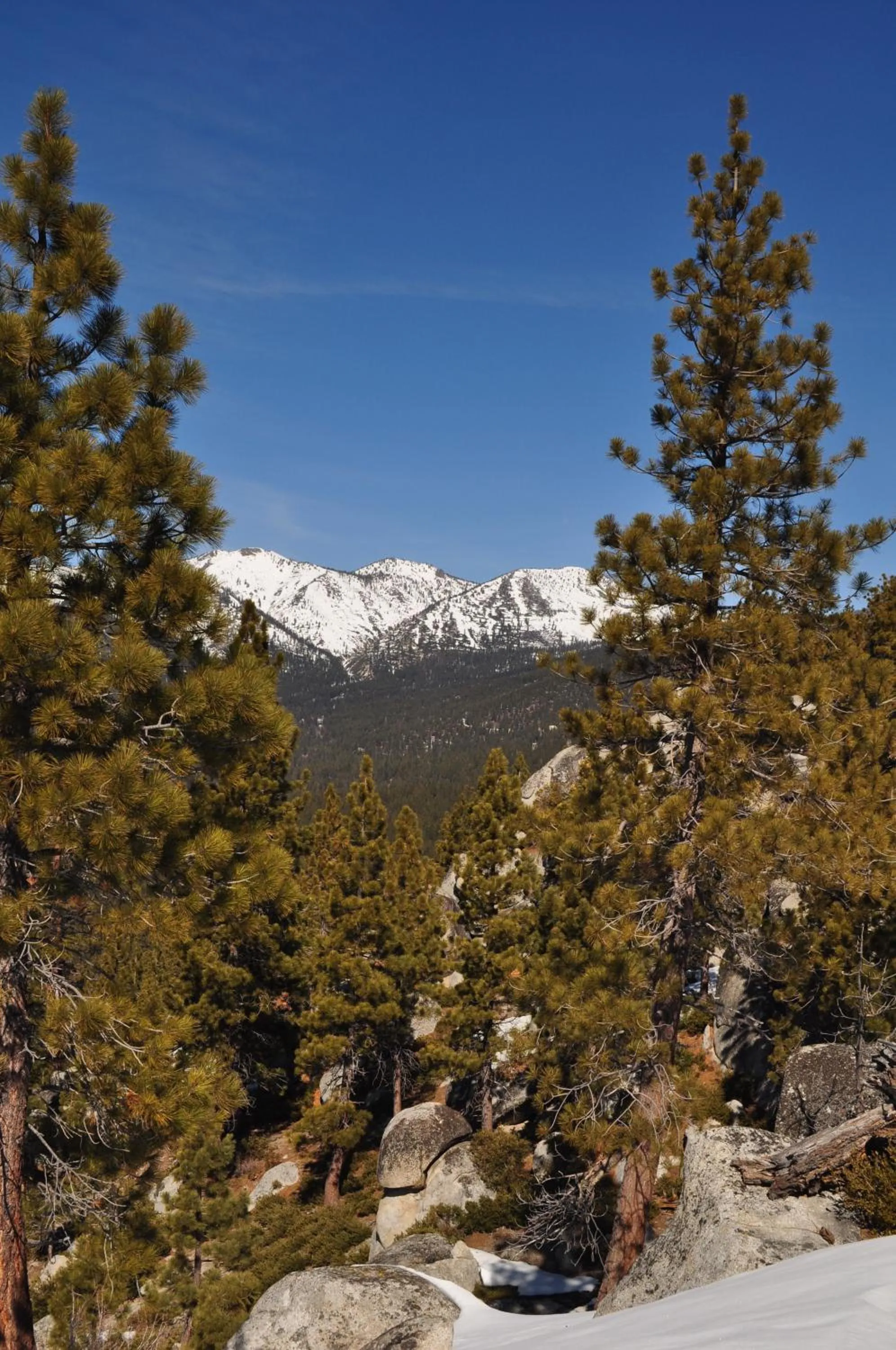 Natural landscape in North Lake Lodges & Villas