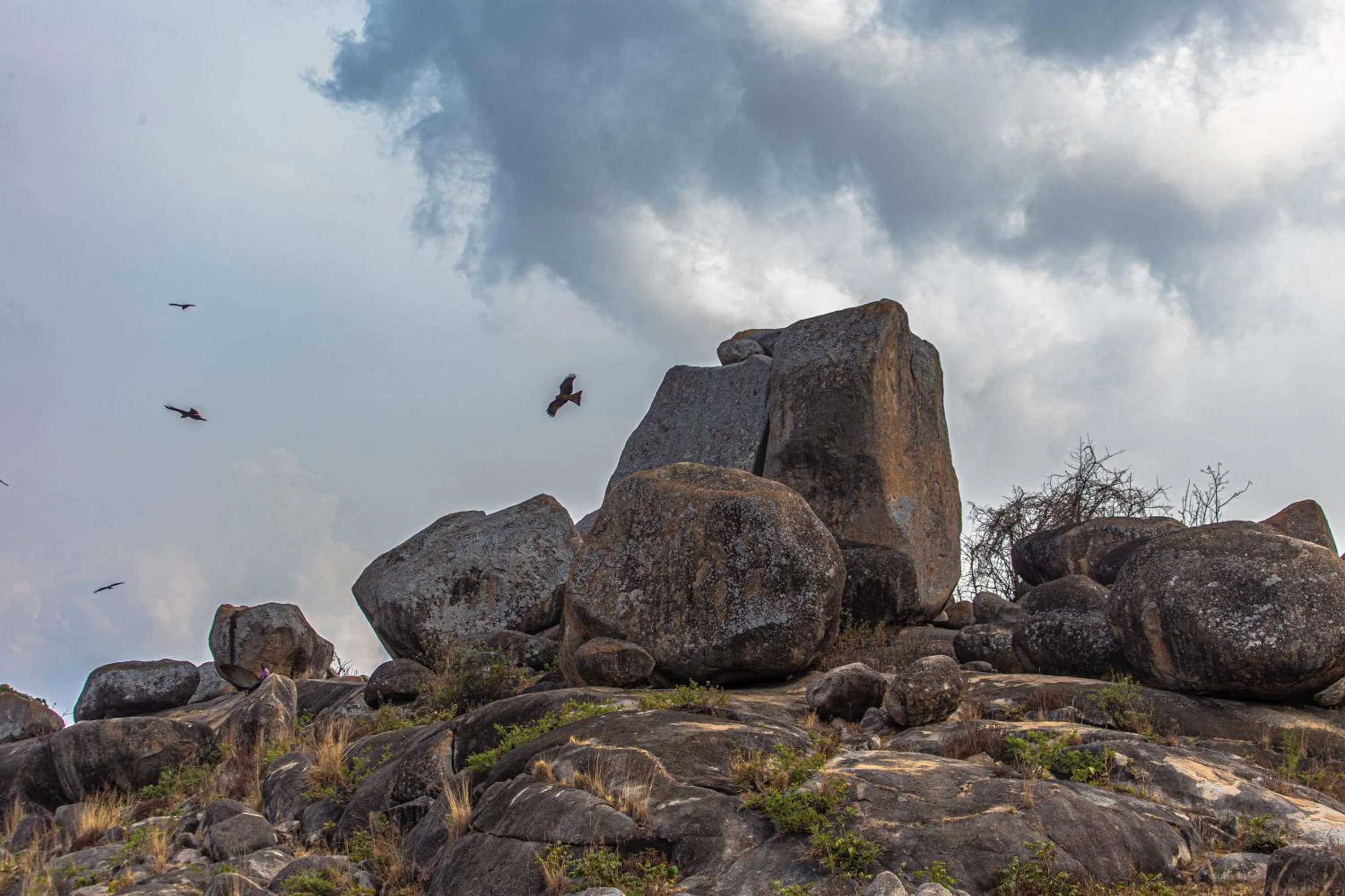 Natural landscape in The Lahe Hotels