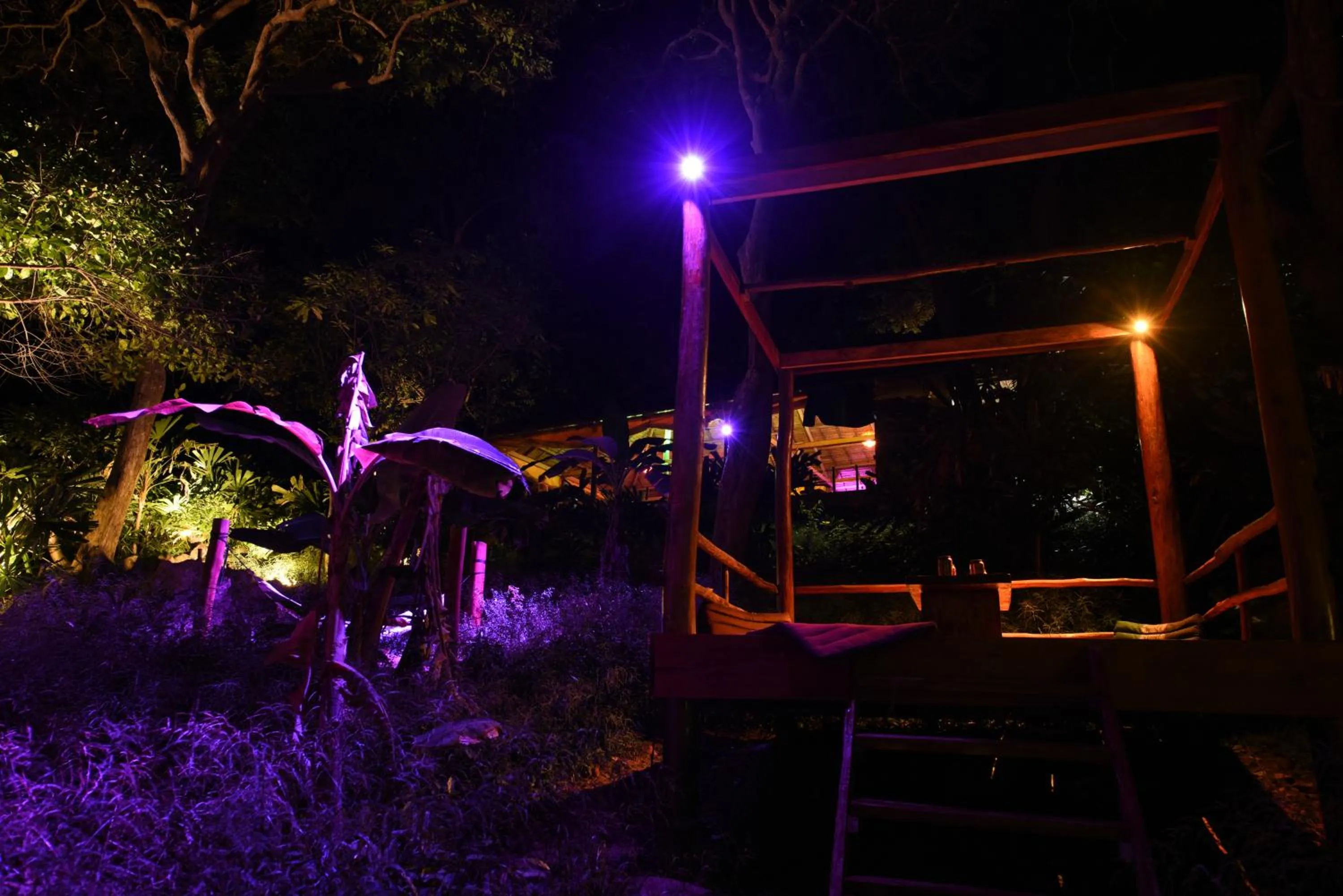 Restaurant/places to eat in Robinson Bungalows