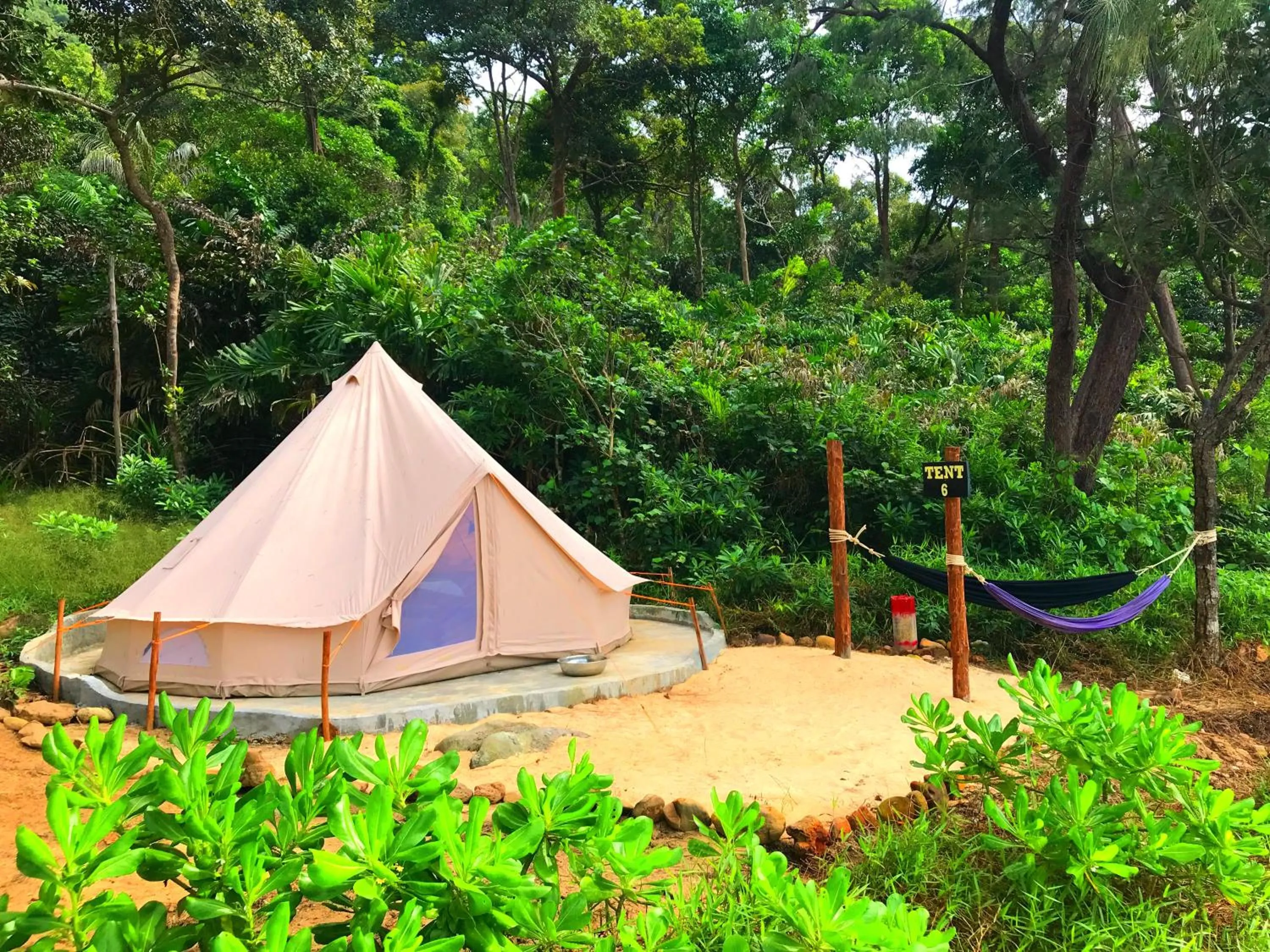 Property building in Robinson Bungalows