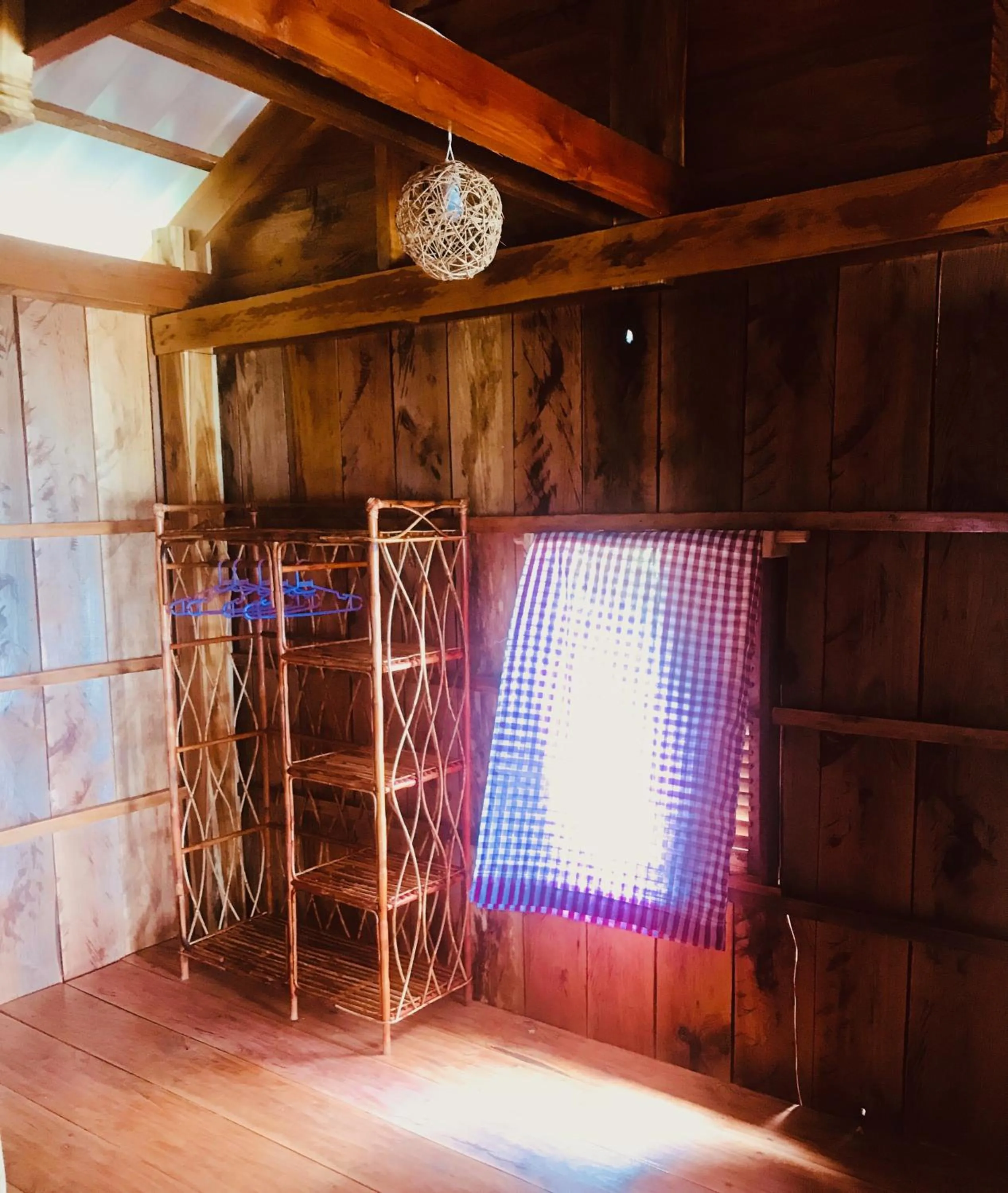 Photo of the whole room in Robinson Bungalows