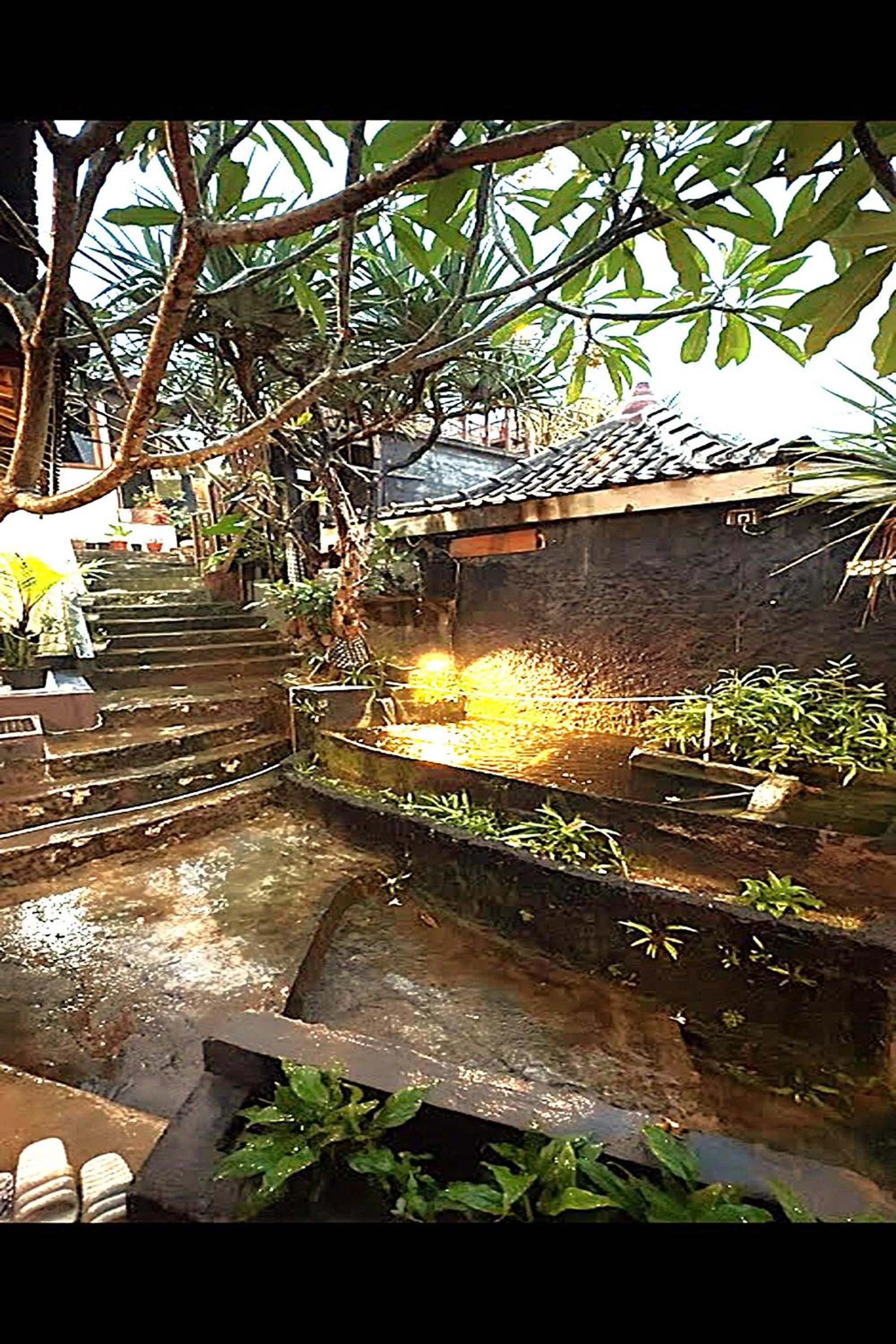 Natural landscape in Karlie Inn