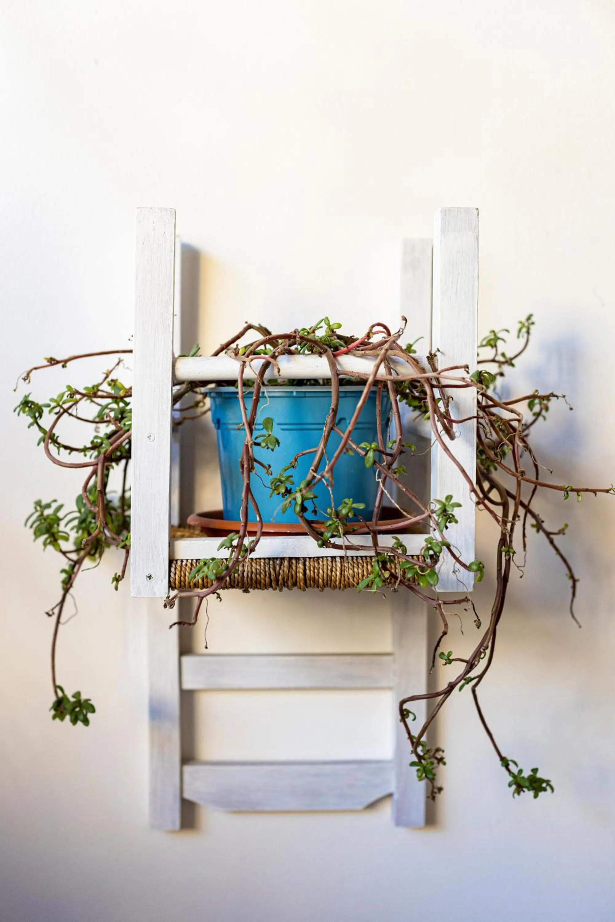 Decorative detail in Trapani Home