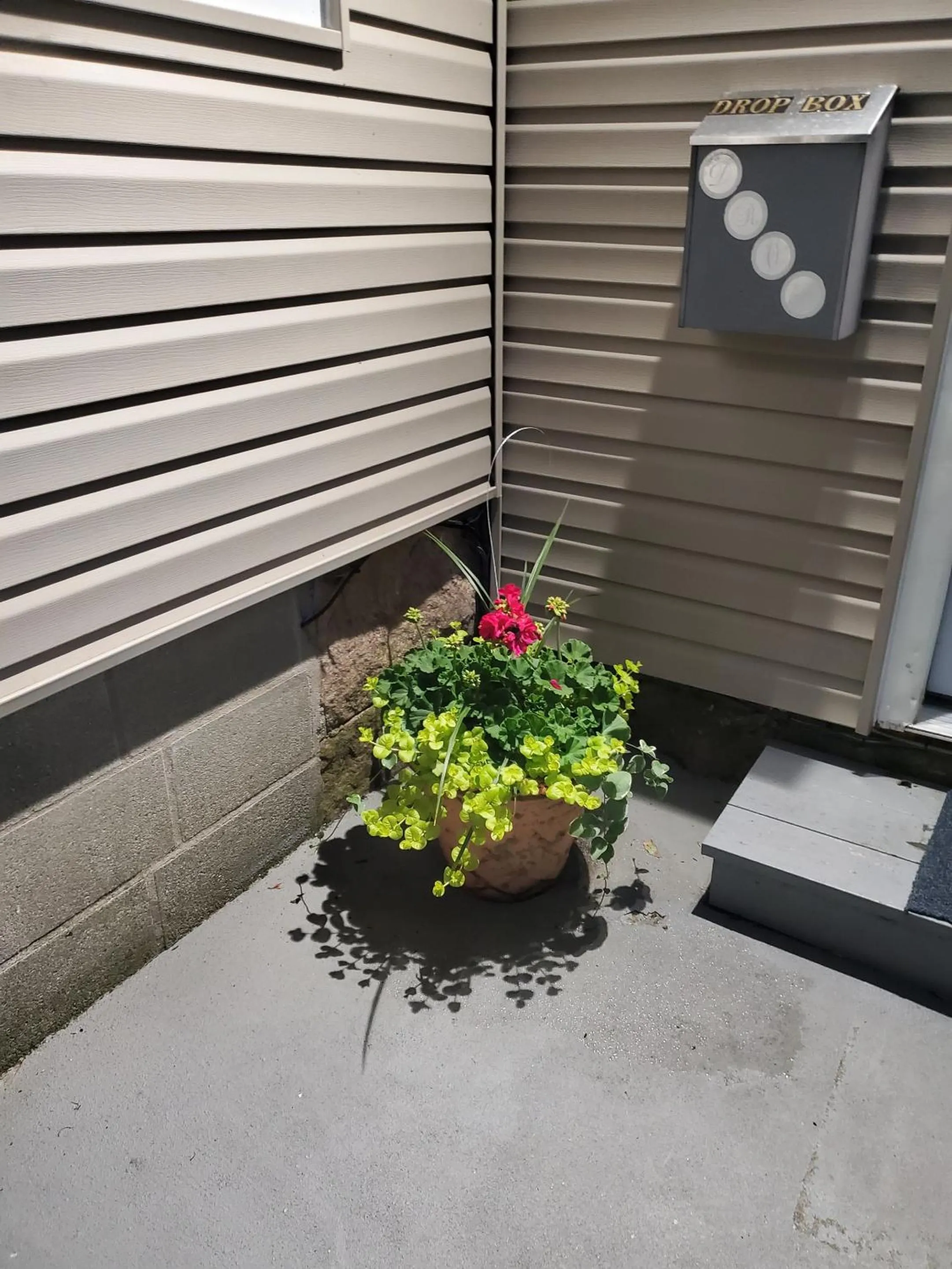 Property building in The Niantic Inn