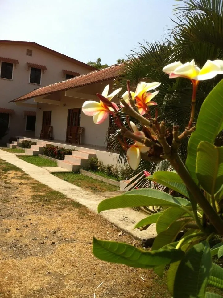 Other in Pedasi Sports Club