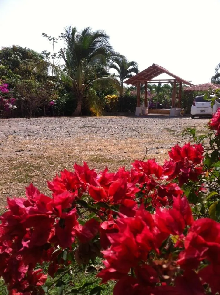 Other in Pedasi Sports Club