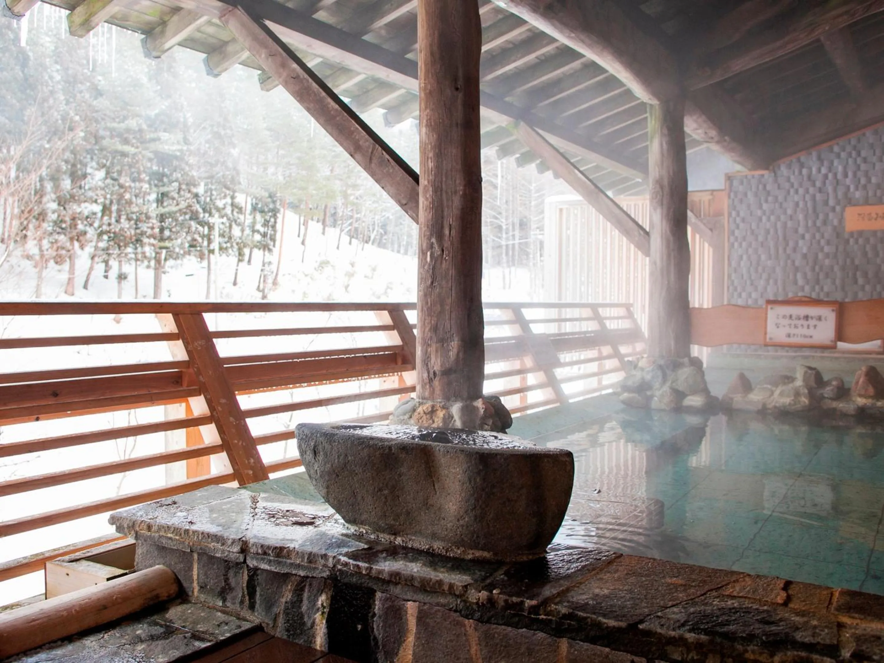 Winter in Seiryukaku