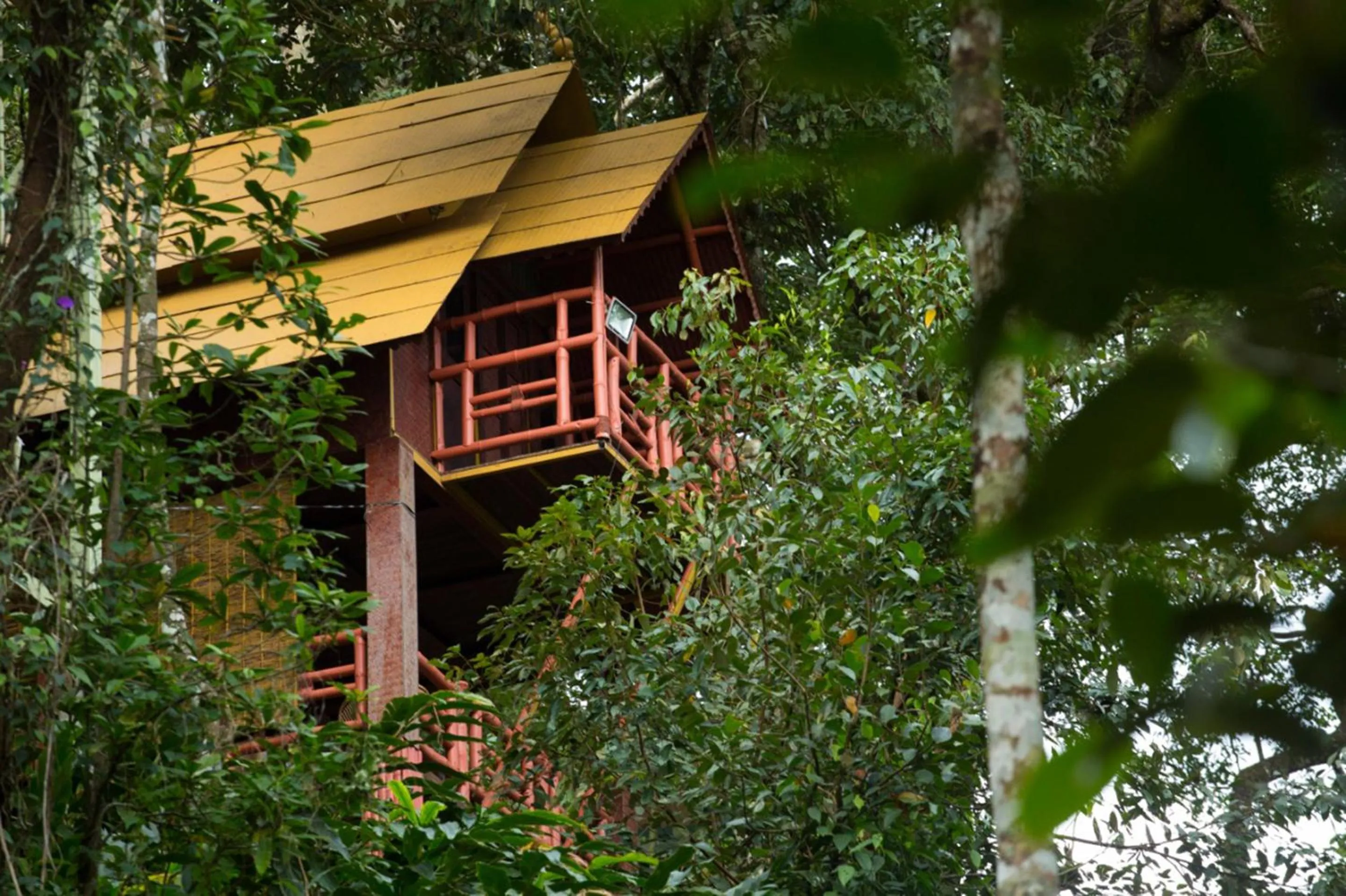 Property building in Bamboo Dale Resort & Spa Munnar by Stride