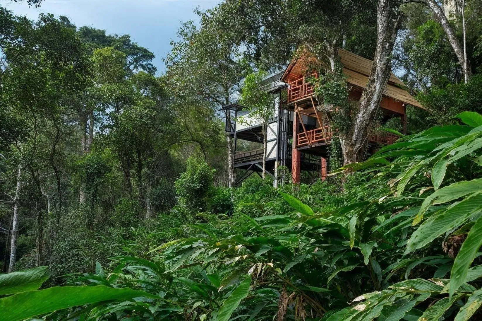 View (from property/room) in Bamboo Dale Resort & Spa Munnar by Stride