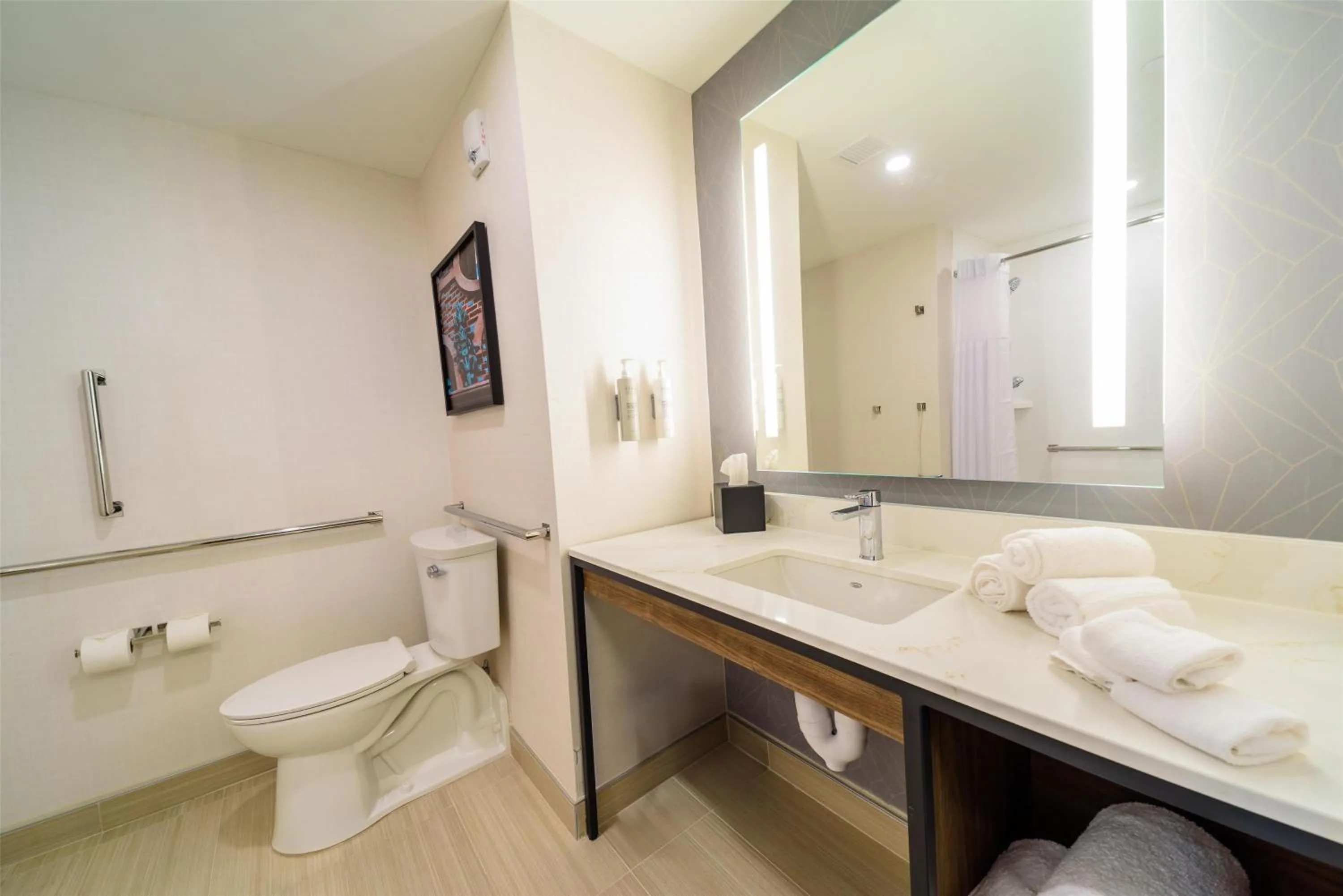 Bathroom in Hilton Garden Inn Dayton Downtown