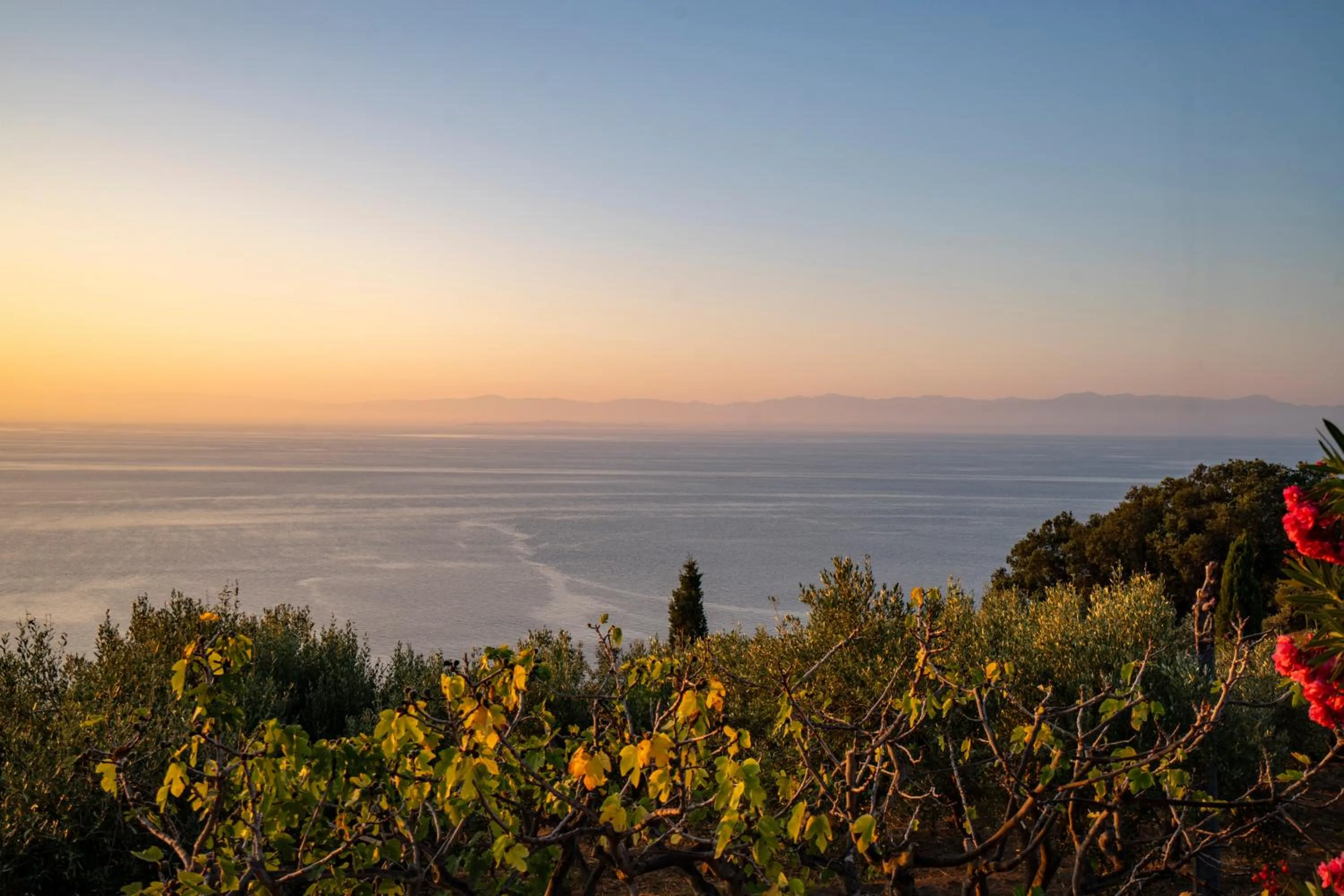 Garden in Borgo del Cannitello Romantic Boutique Resort