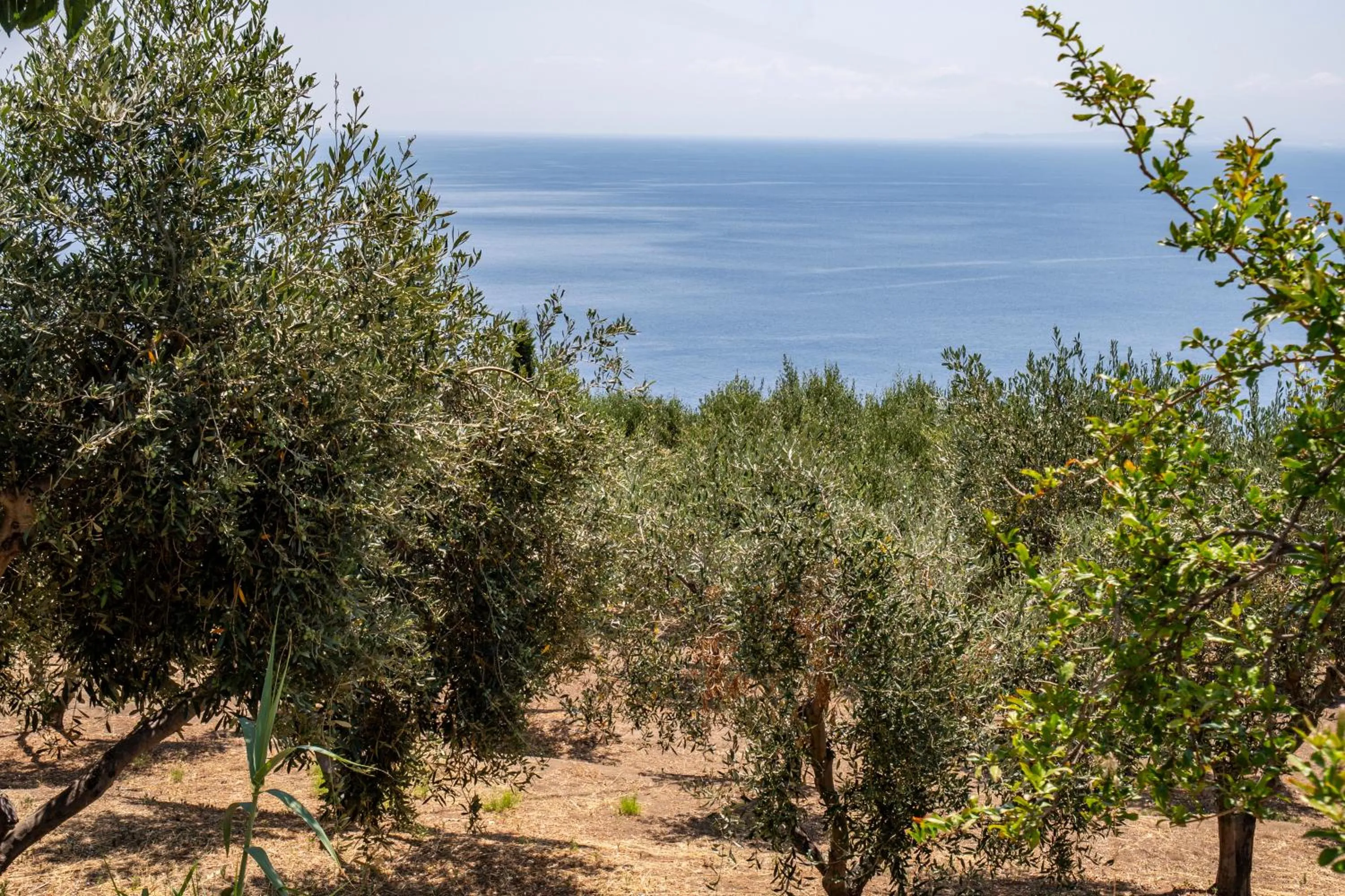 Garden in Borgo del Cannitello Romantic Boutique Resort
