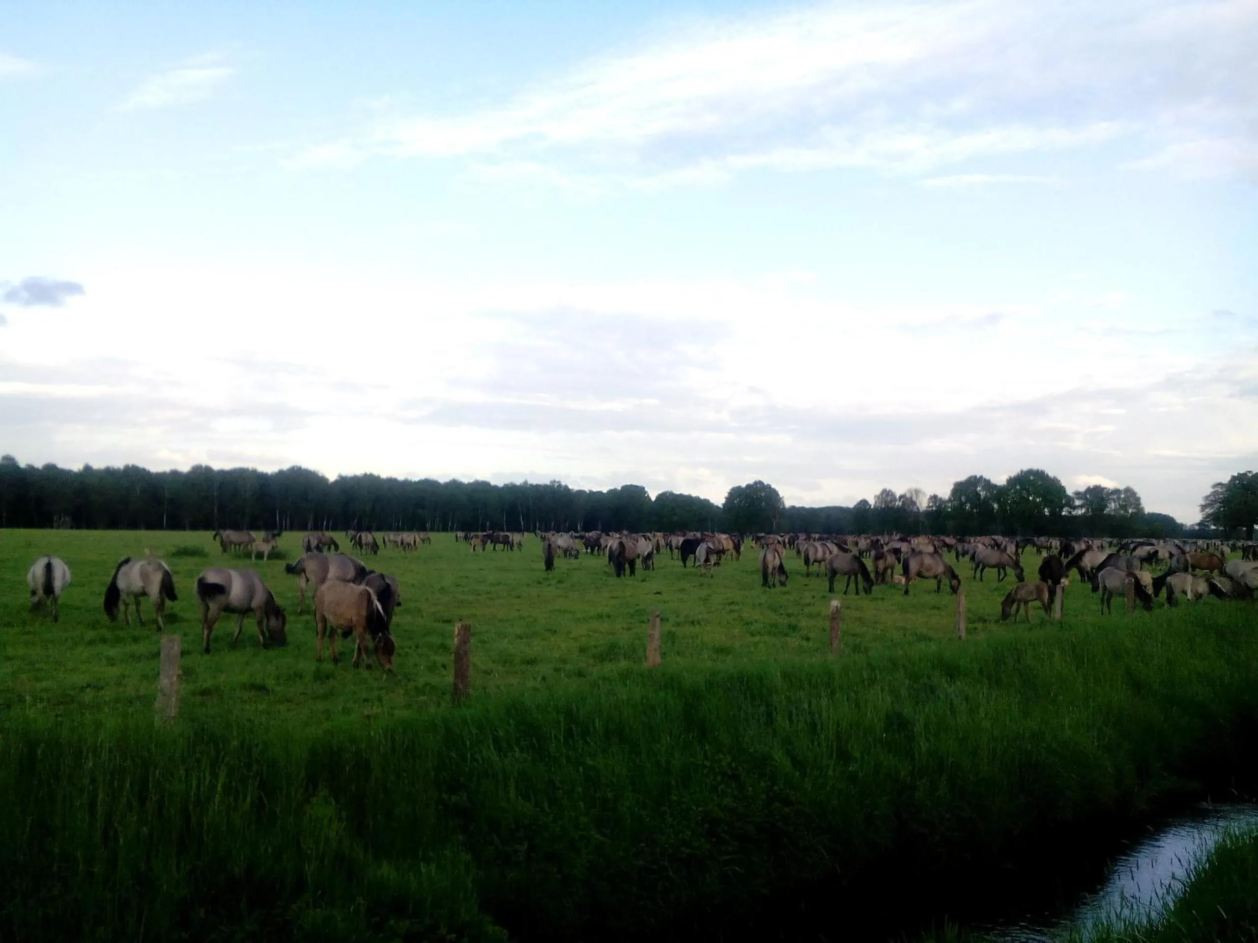 Nearby landmark in Hotel Restaurant Lütkebohmert