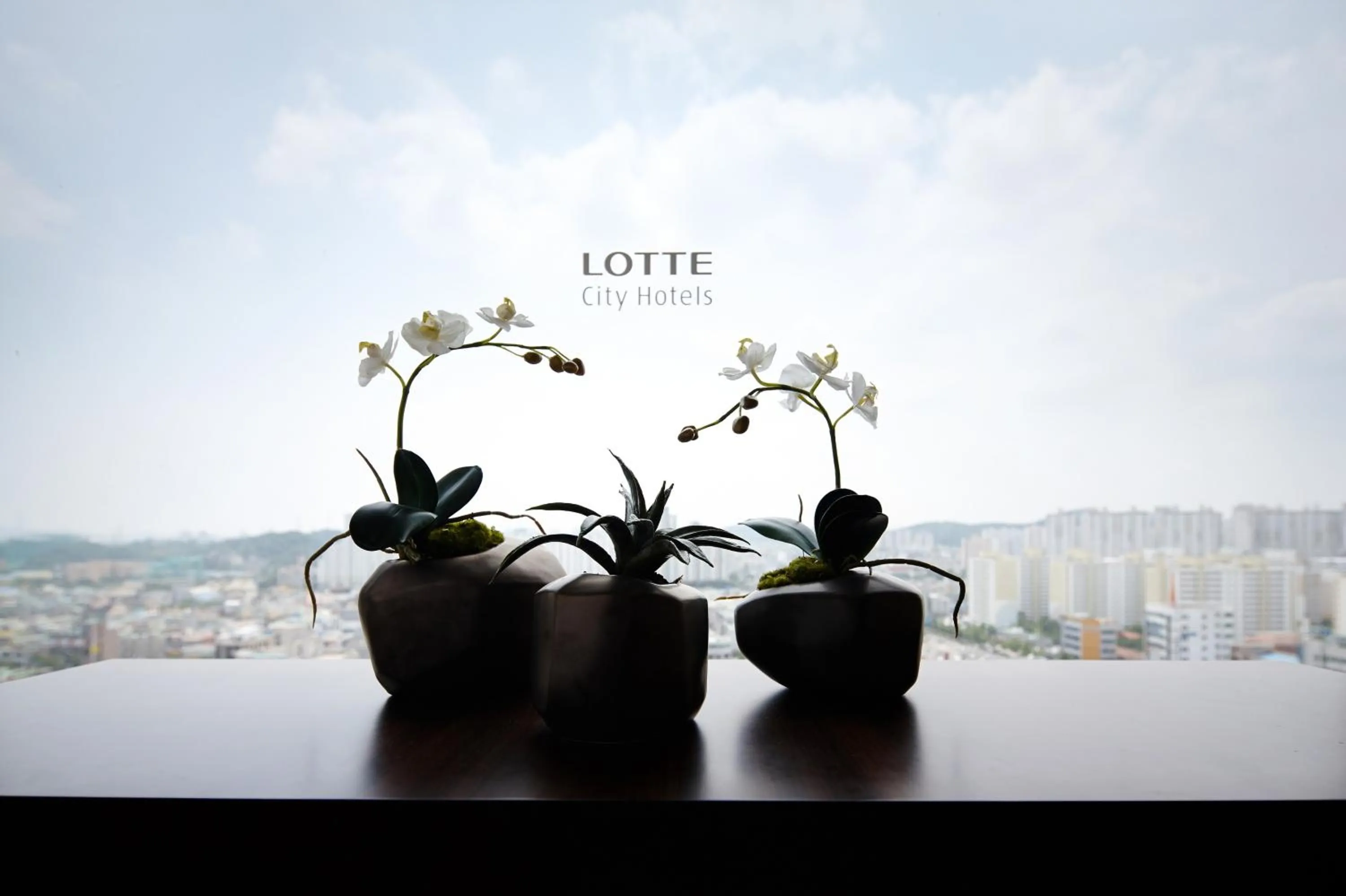 City view in LOTTE CITY HOTEL Ulsan