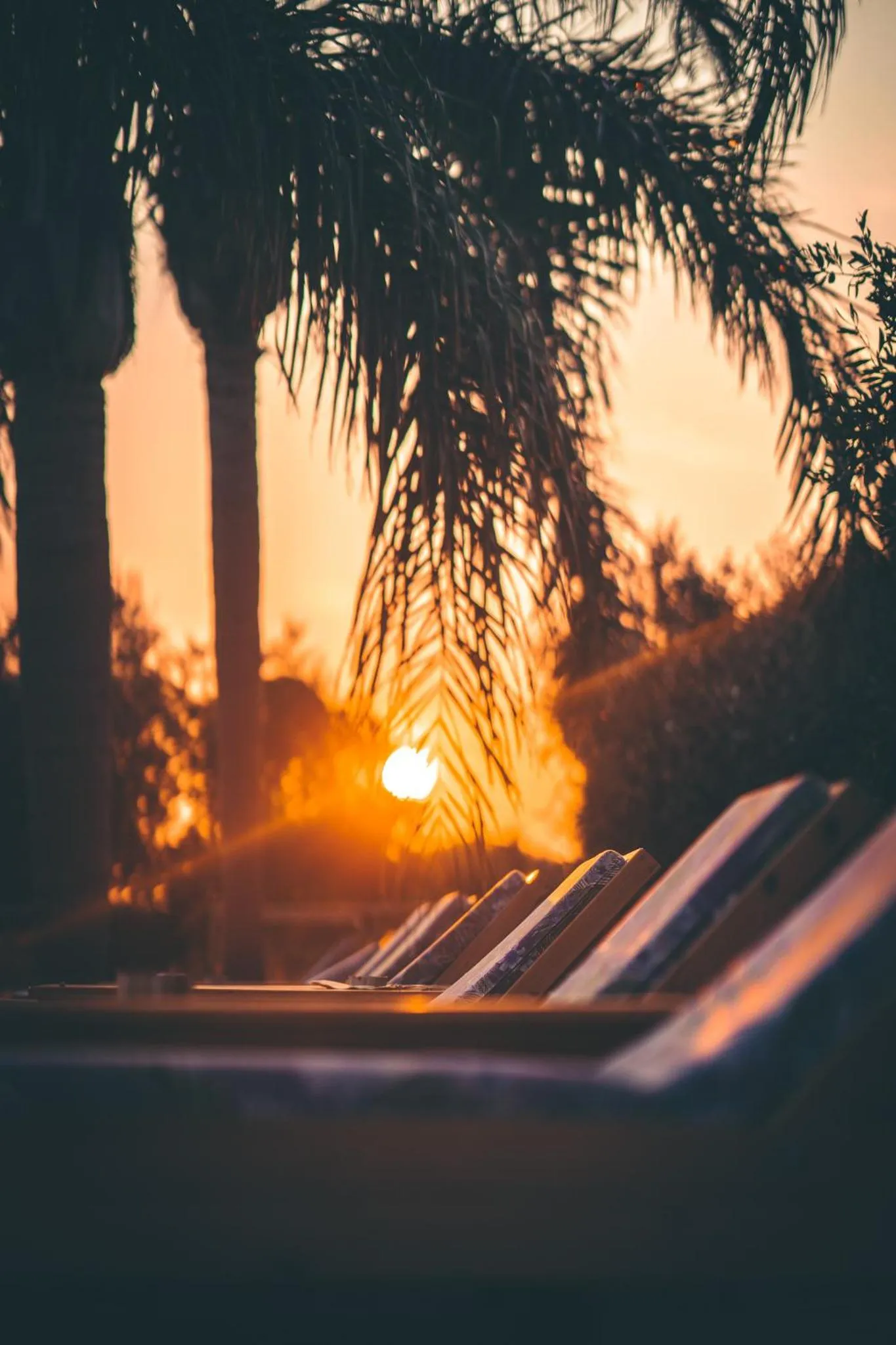 Swimming pool in Zoe Seaside Resort