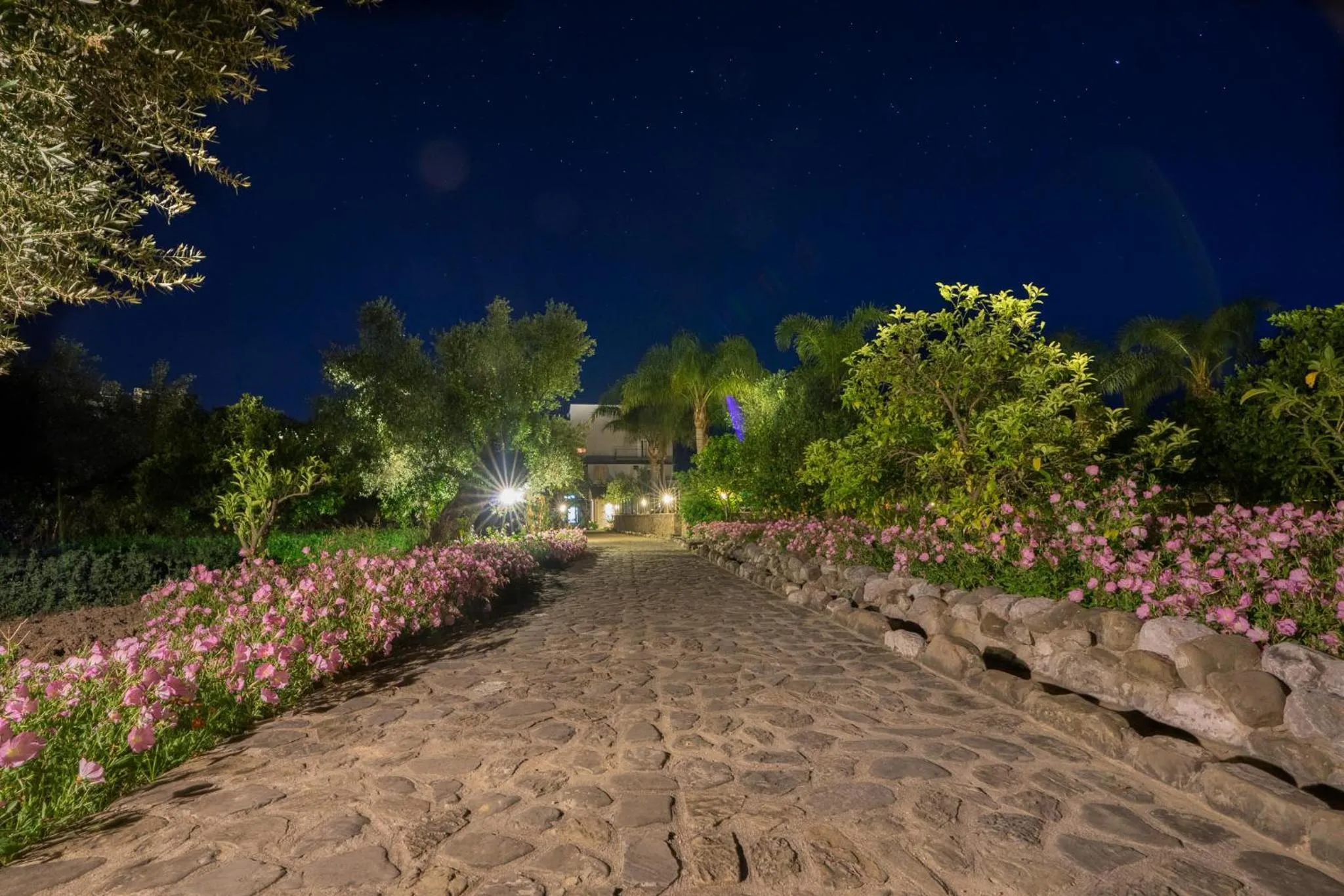 Garden in Zoe Seaside Resort