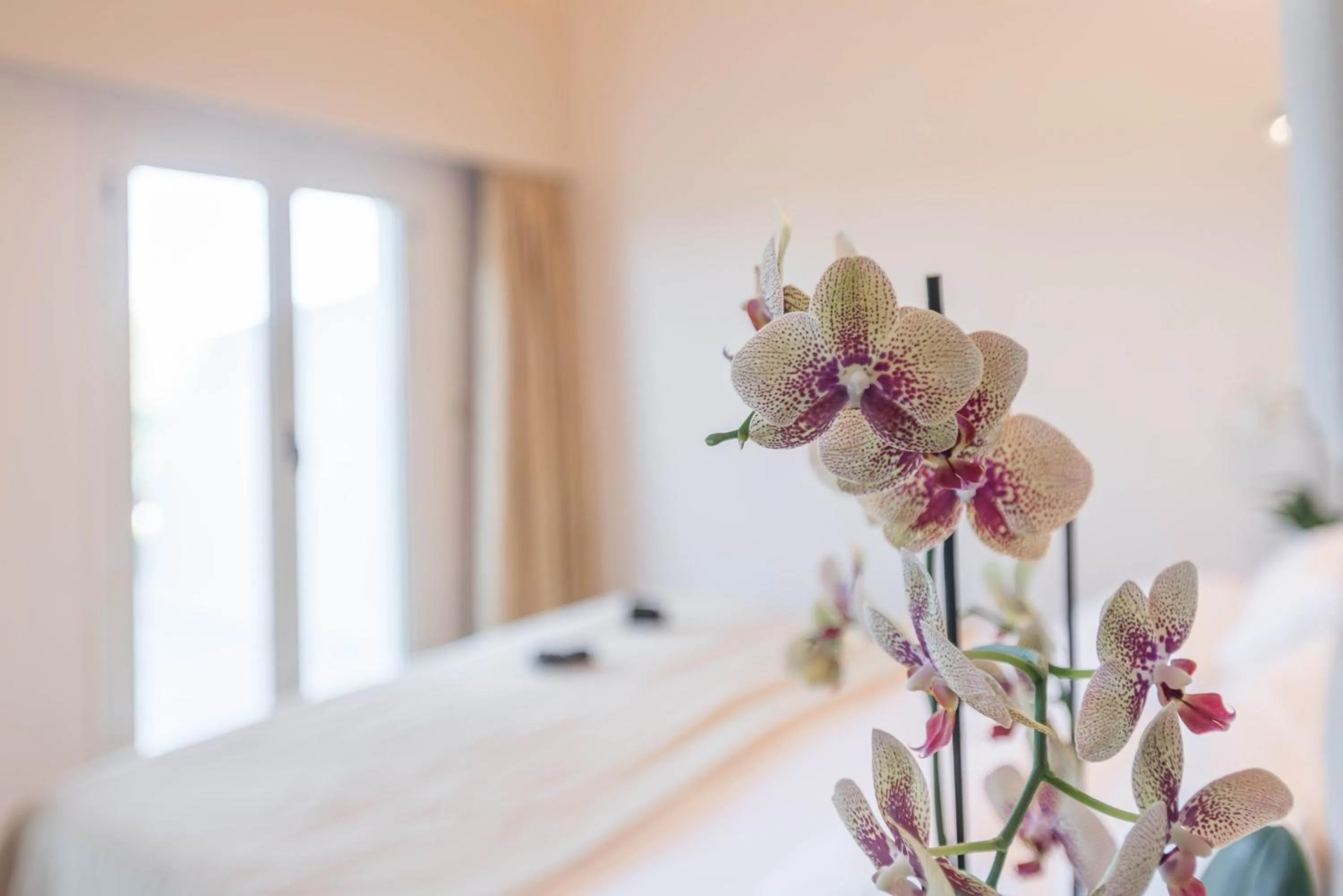 Decorative detail, Bed in Zoe Seaside Resort