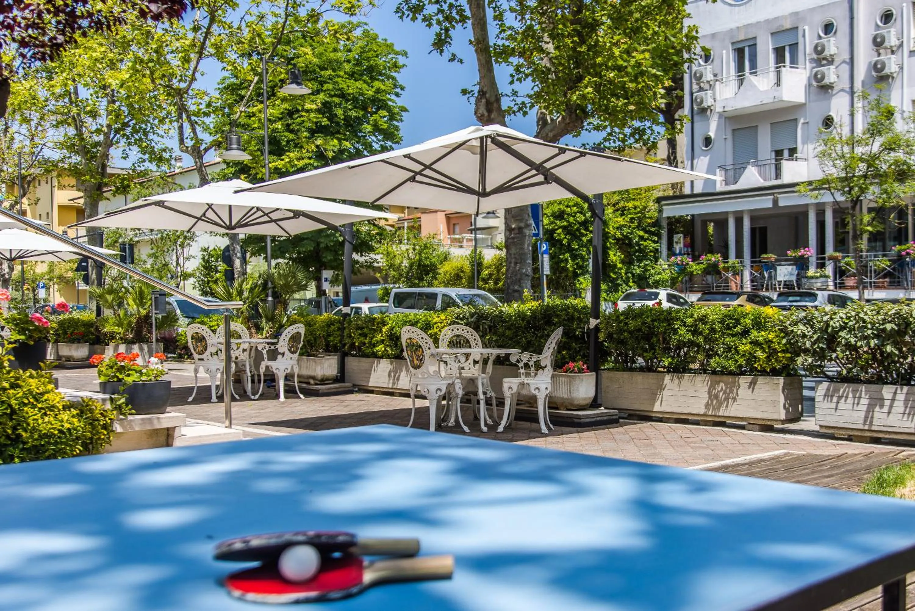 Table tennis in Hotel Foglieri