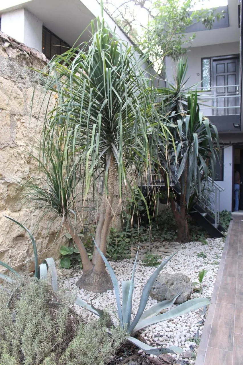 Patio in Adhoc Boutique Barrio Antiguo