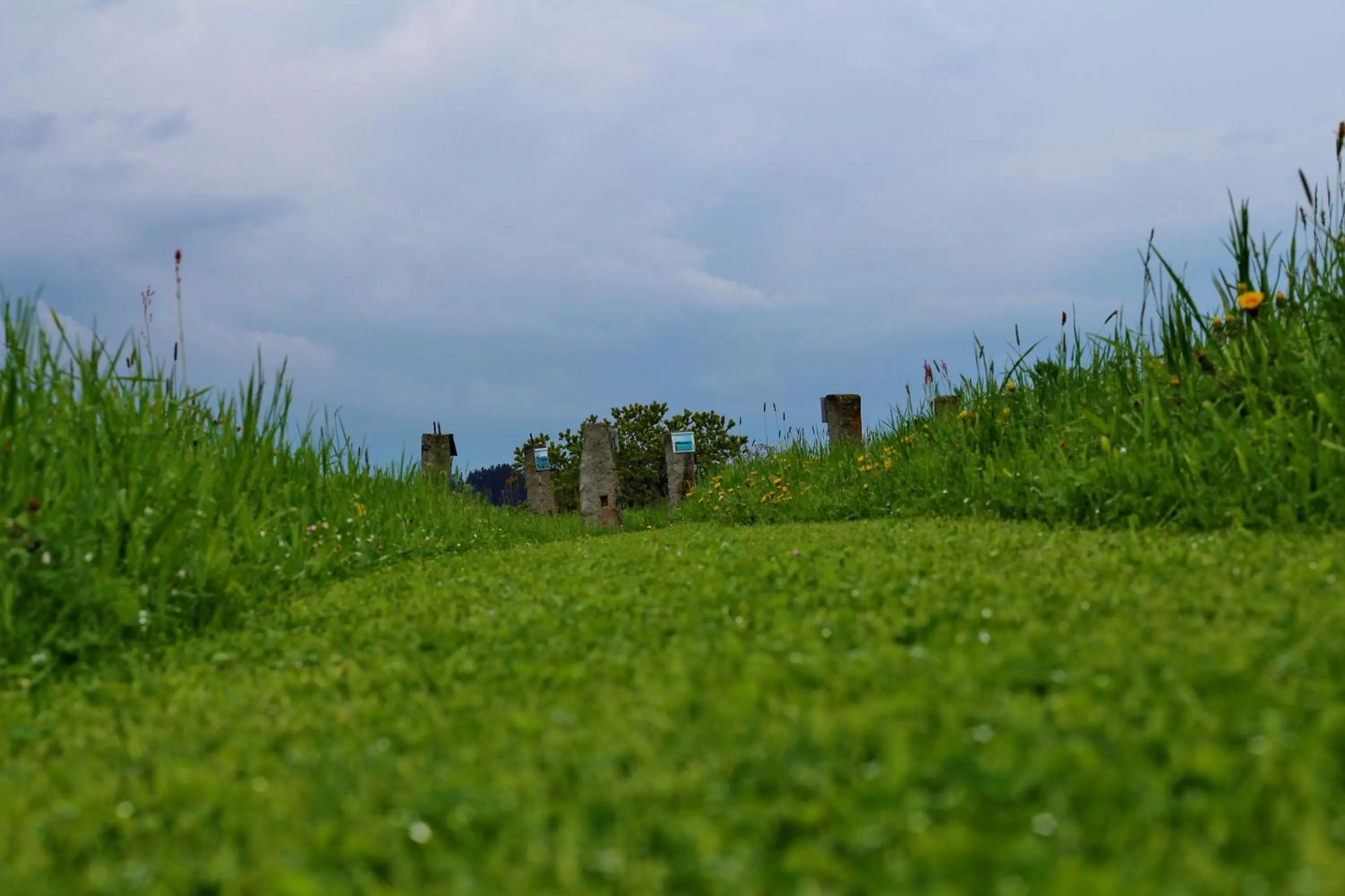 Natural landscape in Langs Wirtshaus