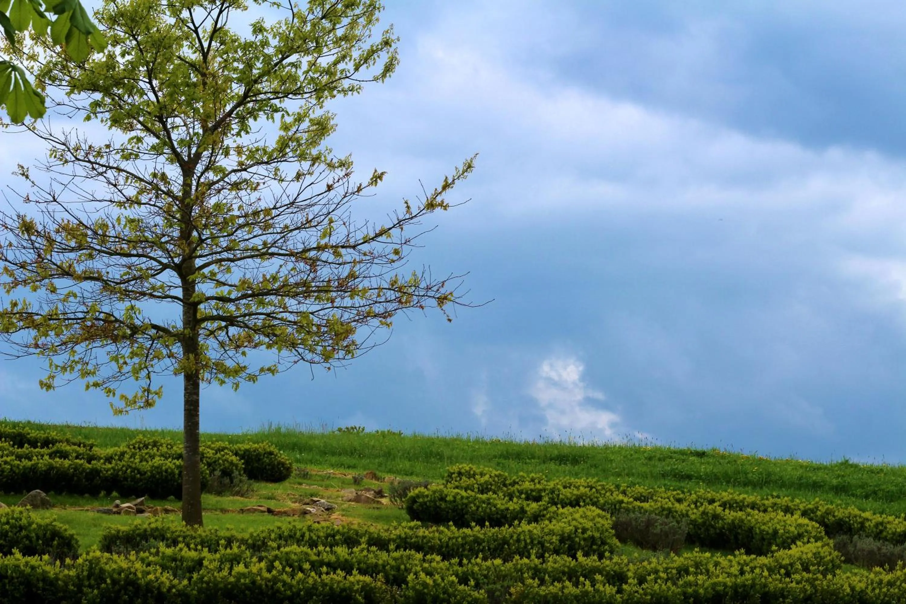 Activities in Langs Wirtshaus
