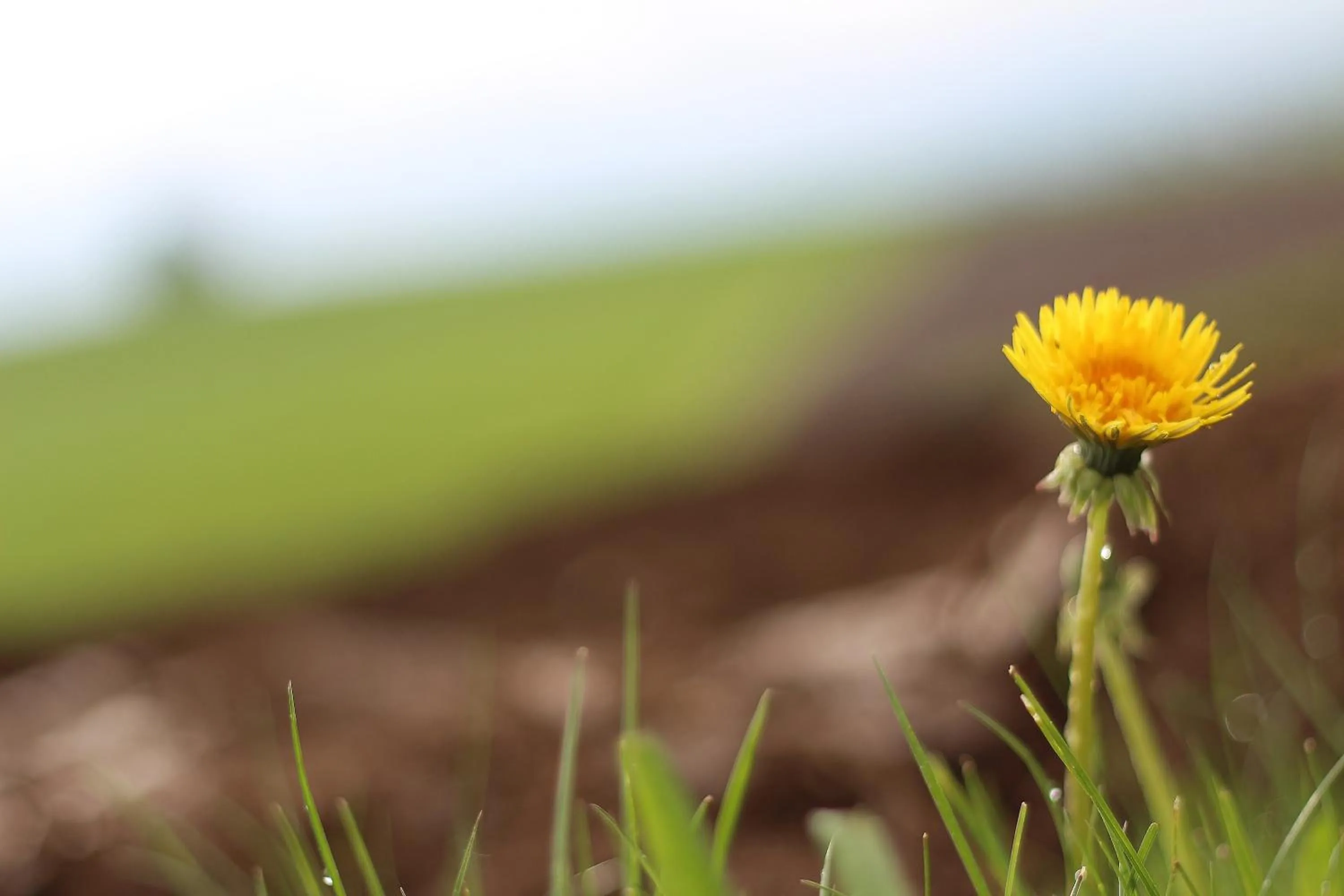 Other in Langs Wirtshaus
