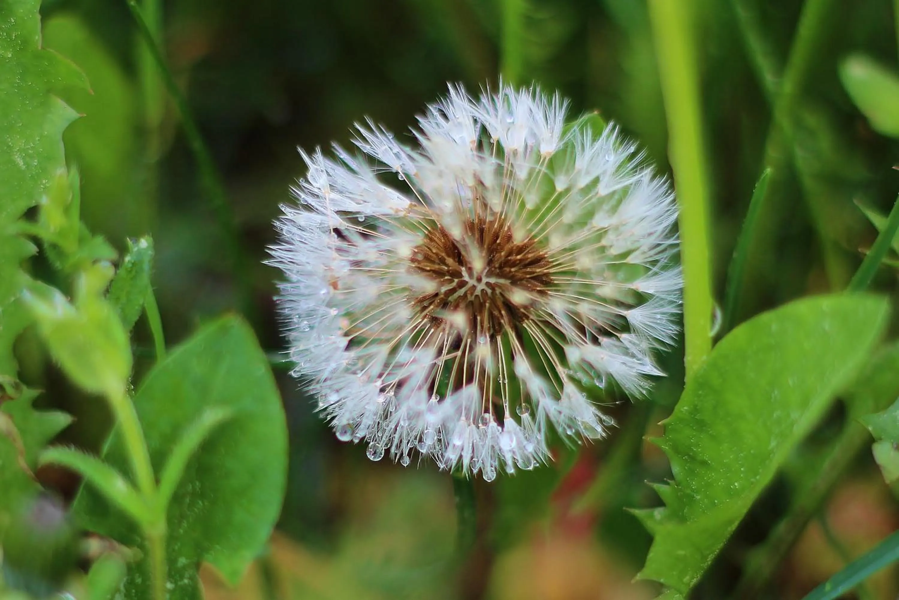 Natural landscape in Langs Wirtshaus