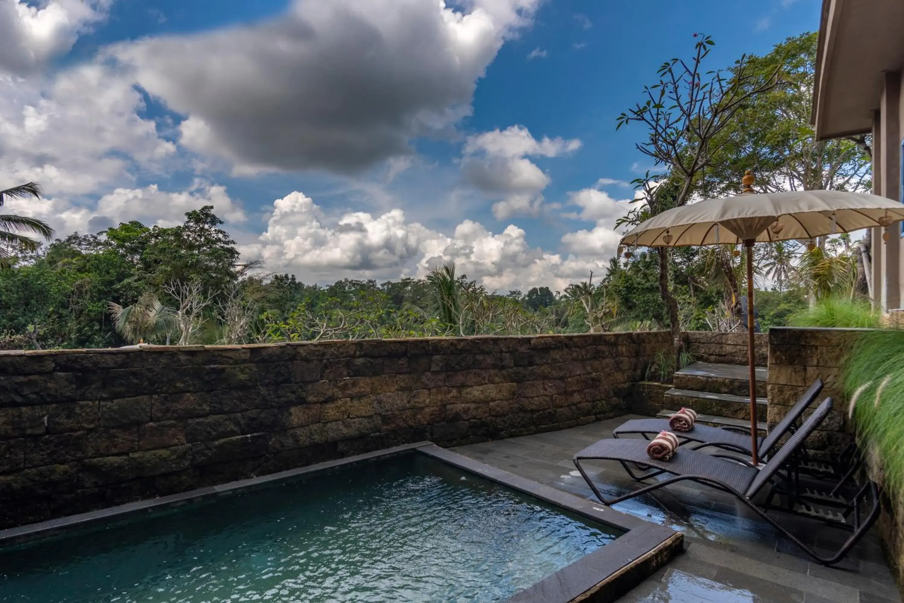 Hoshi Jungle Suite Pool in Hoshi Jungle Resort by Dhananjaya Hospitality Hoshi Jungle Suite Pool in Hoshi Jungle Resort by Dhananjaya Hospitality