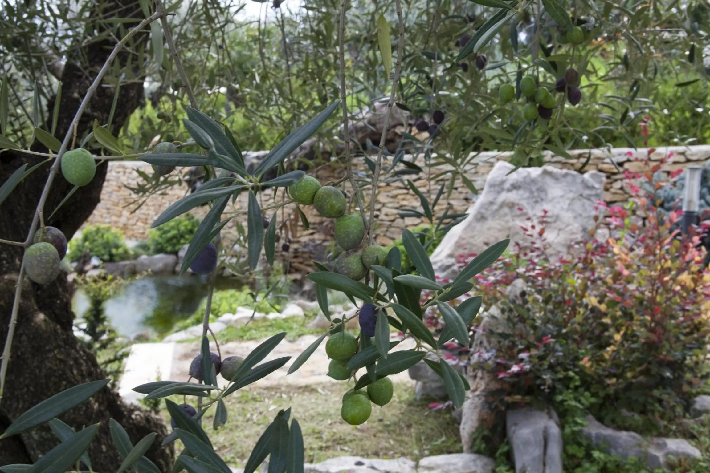 Day in Albergo Ristorante Uliveto