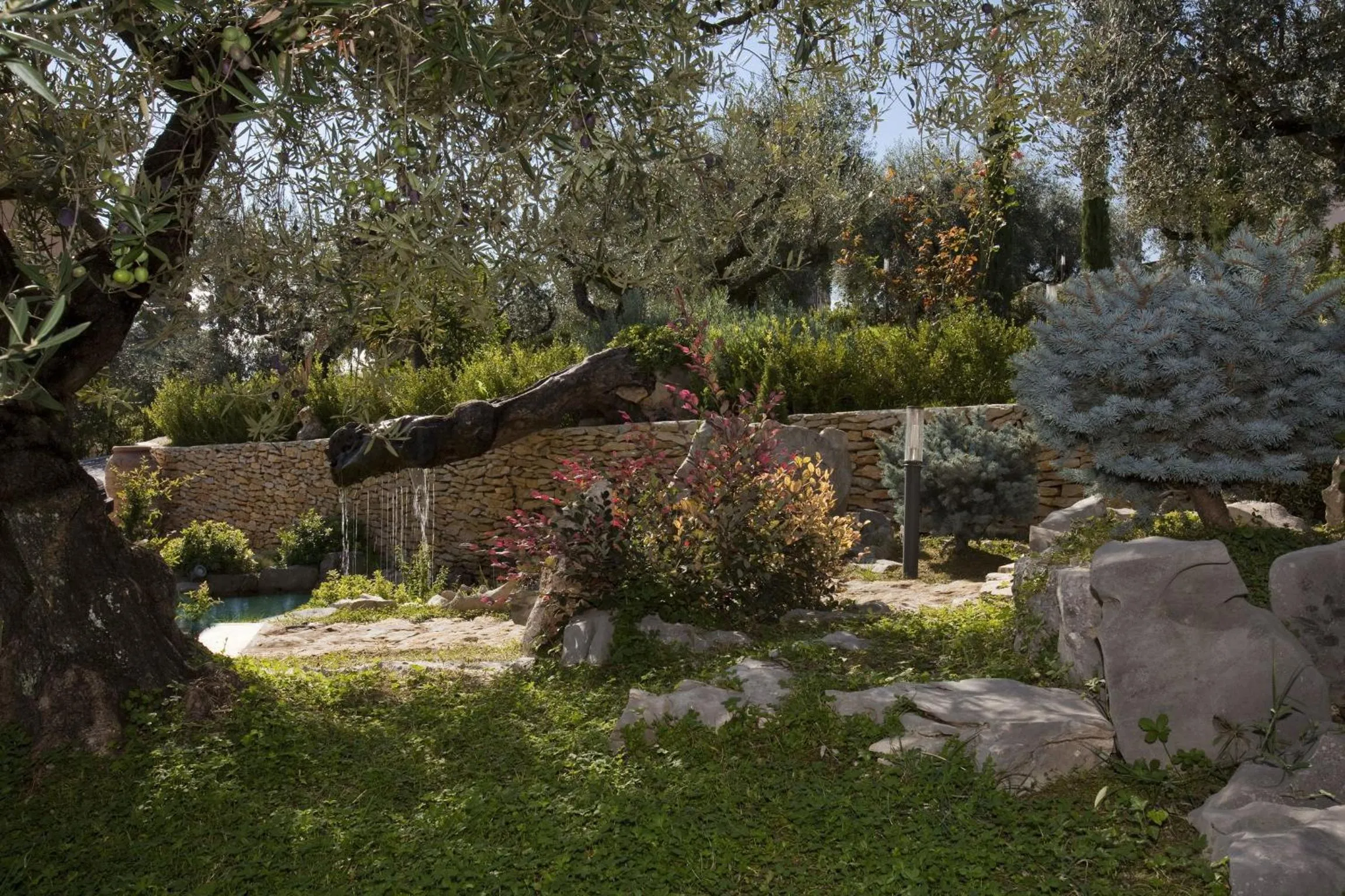 Day in Albergo Ristorante Uliveto