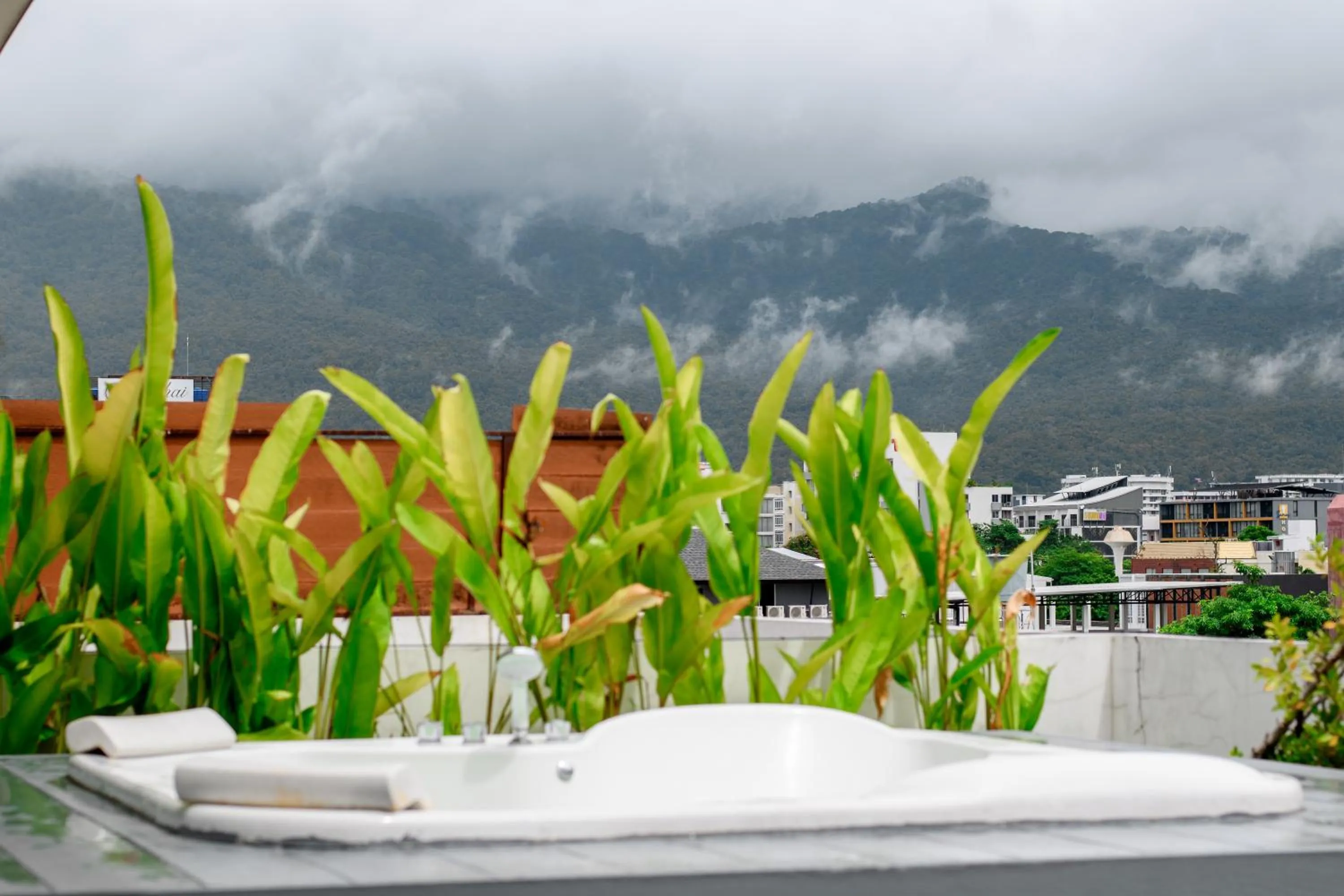 Natural landscape in Tolani Nimman Villa Chiang Mai