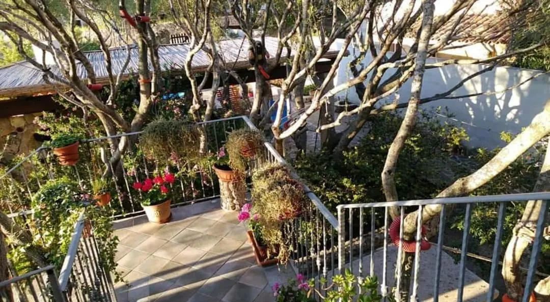 Garden in Antica Isola