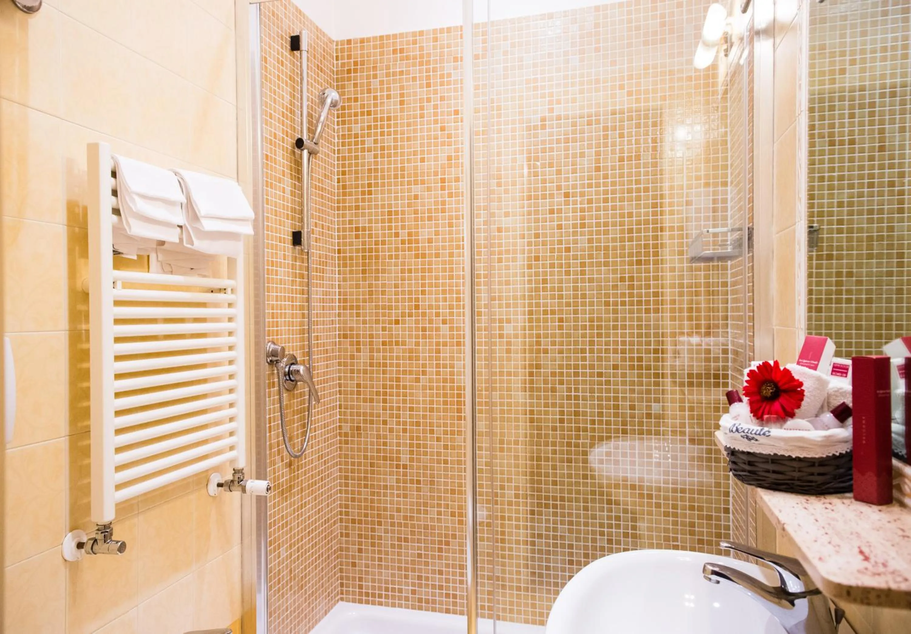 Shower, Bathroom in Hotel Amadeus