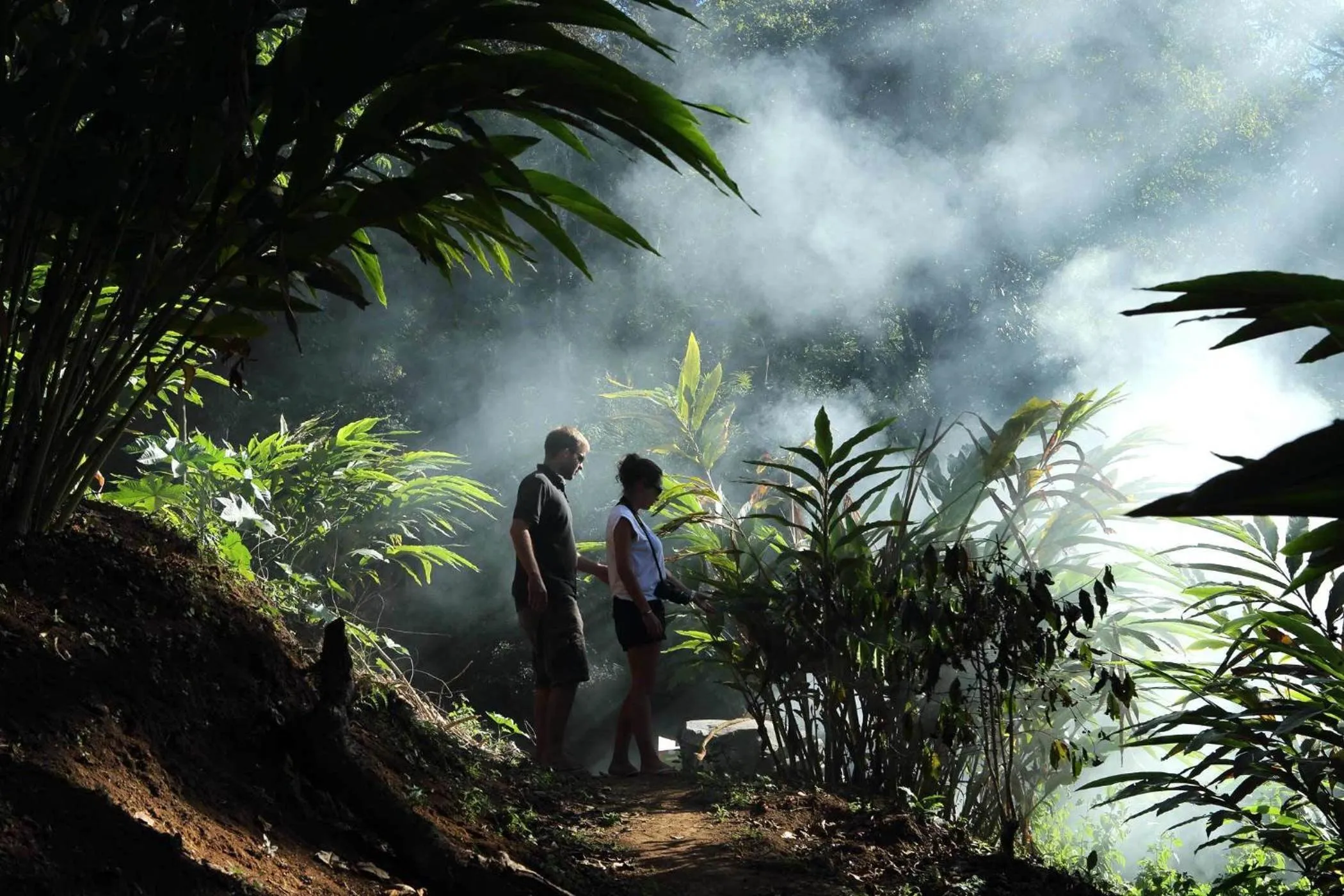 Guests in Olive Brook