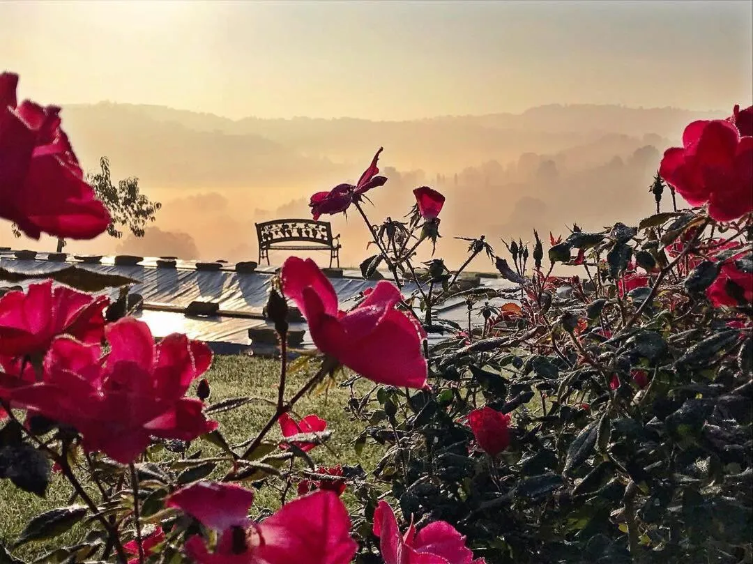 Casale delle Rondini