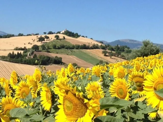 Casale delle Rondini