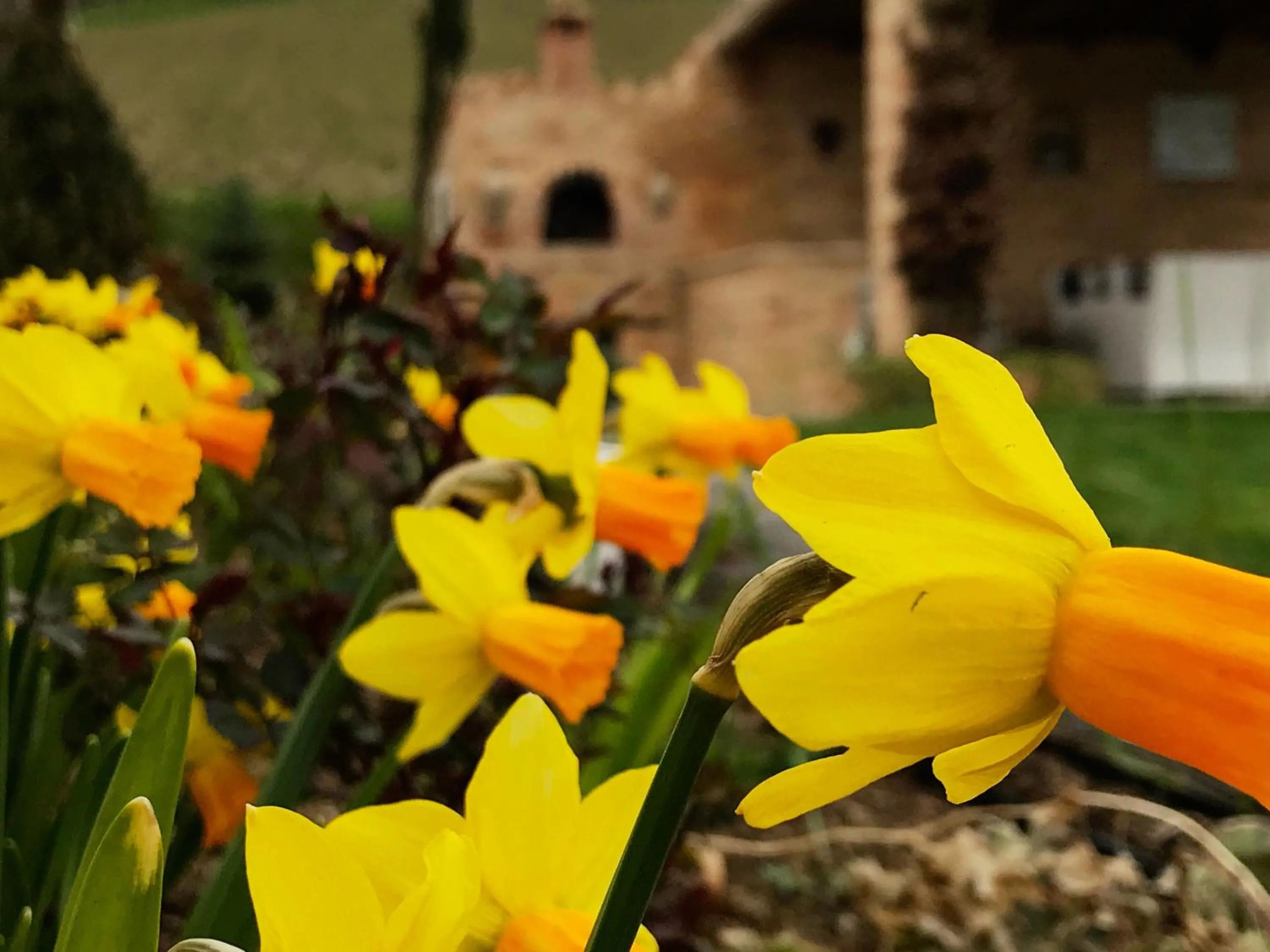 Casale delle Rondini