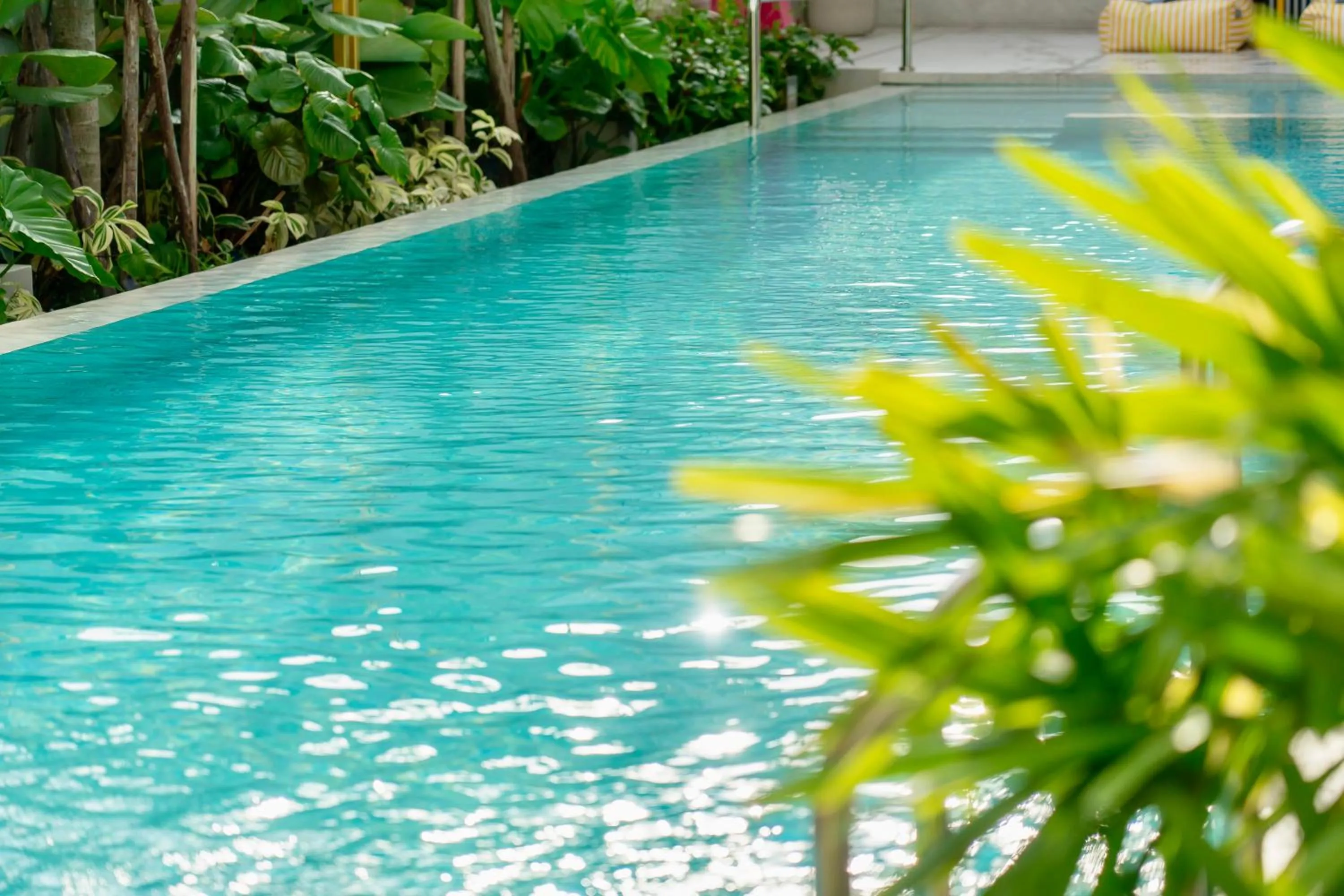 Swimming pool in Hotel Bangkokian