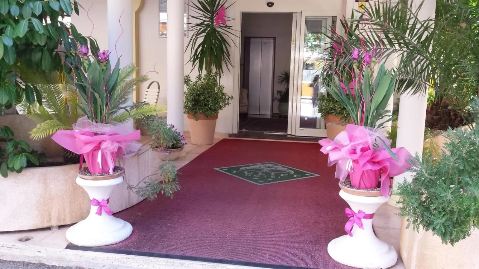 Facade/entrance in Hotel Tulipe Nazionale