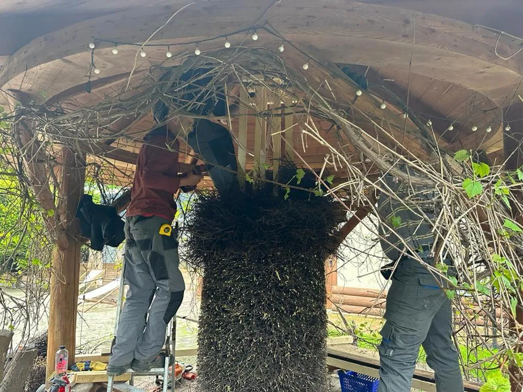 Sommer Residence Hotel&Spa