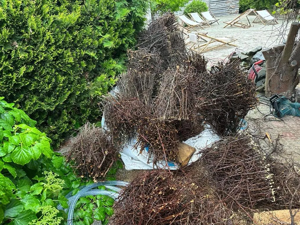 Sommer Residence Hotel&Spa