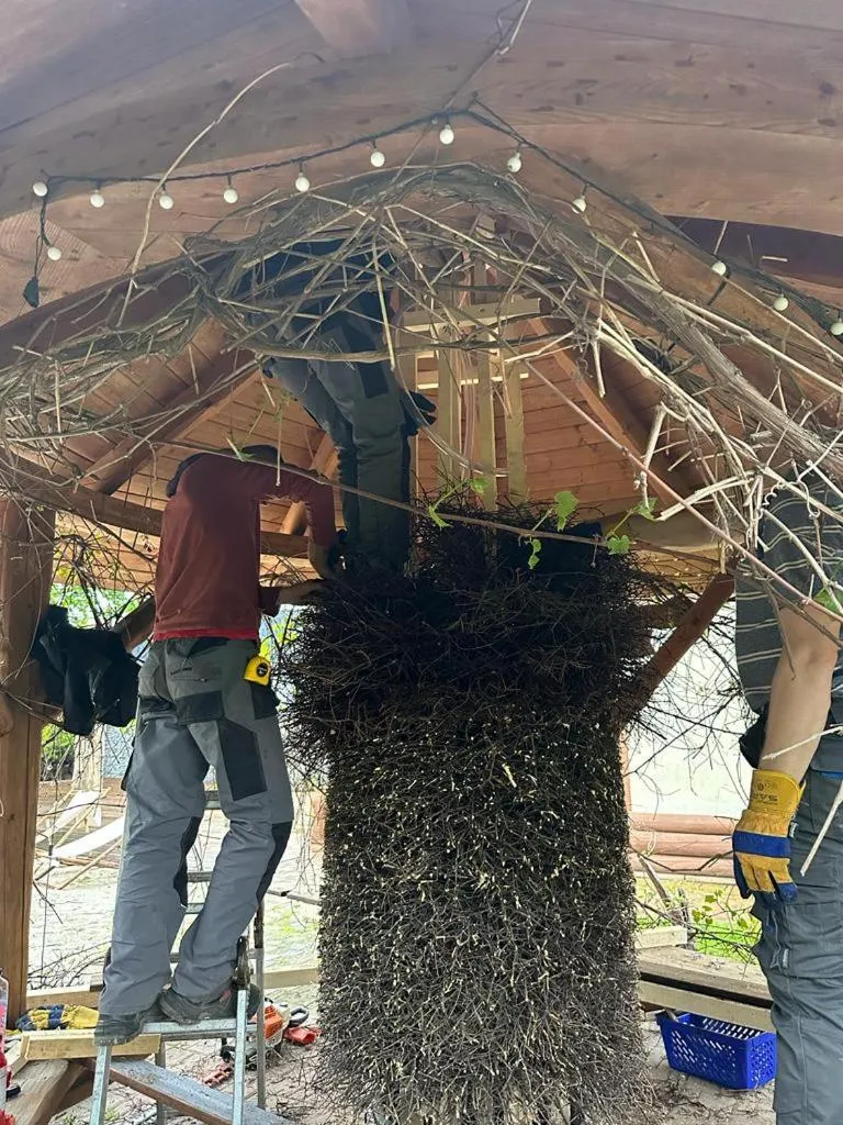 Sommer Residence Hotel&Spa