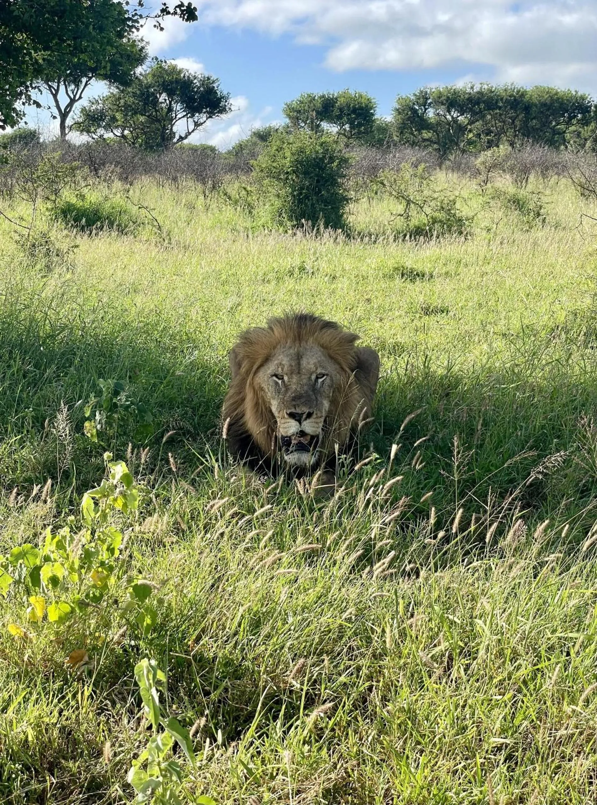 Activities in Rhino River Lodge