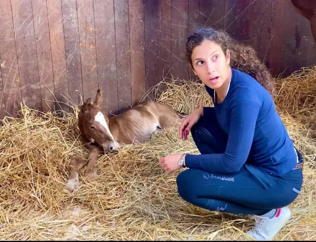 Agriturismo Il Boschetto