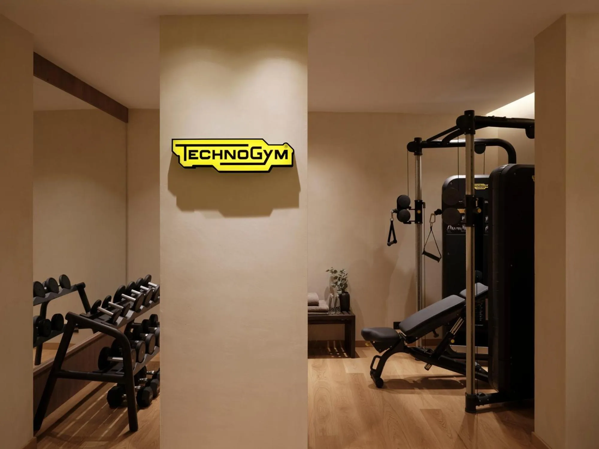 Fitness centre/facilities in Enarma Suites & Spa Wellness Retreat