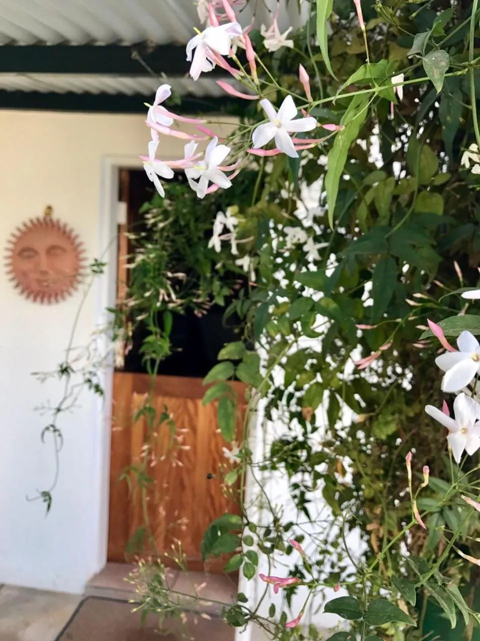 Garden in La Bella B&B Under The Fig Tree