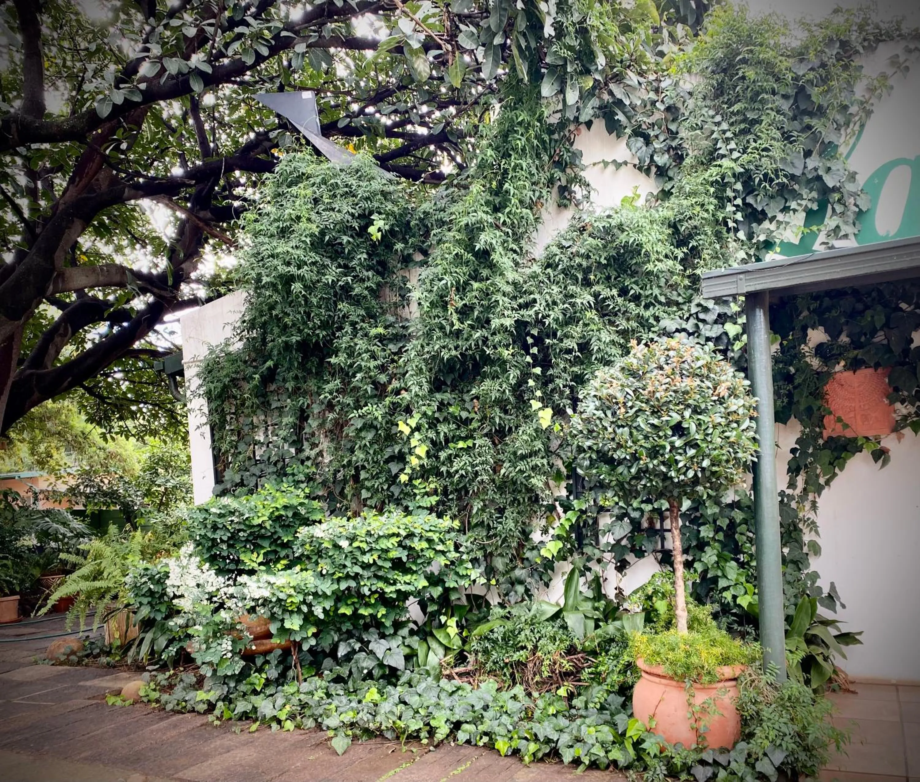 Garden in La Bella B&B Under The Fig Tree
